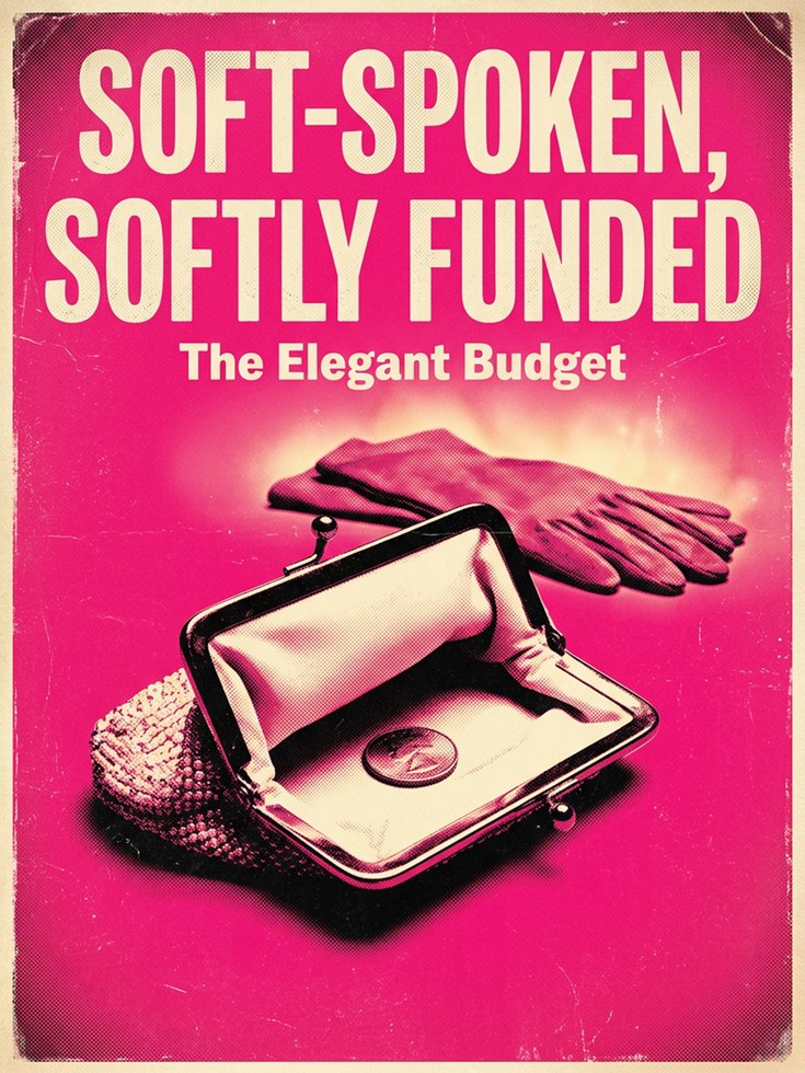 Vintage Pink Budget Poster: Retro 1950s Financial Advice Art Print - artwork on paper