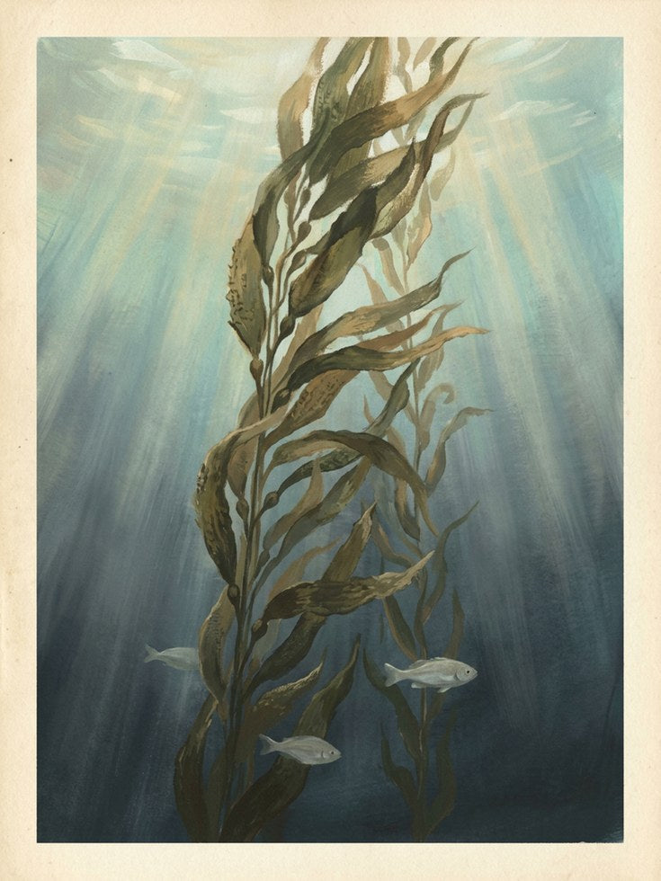 Underwater Kelp Forest Art Print: Vintage Marine Botanical - artwork on paper