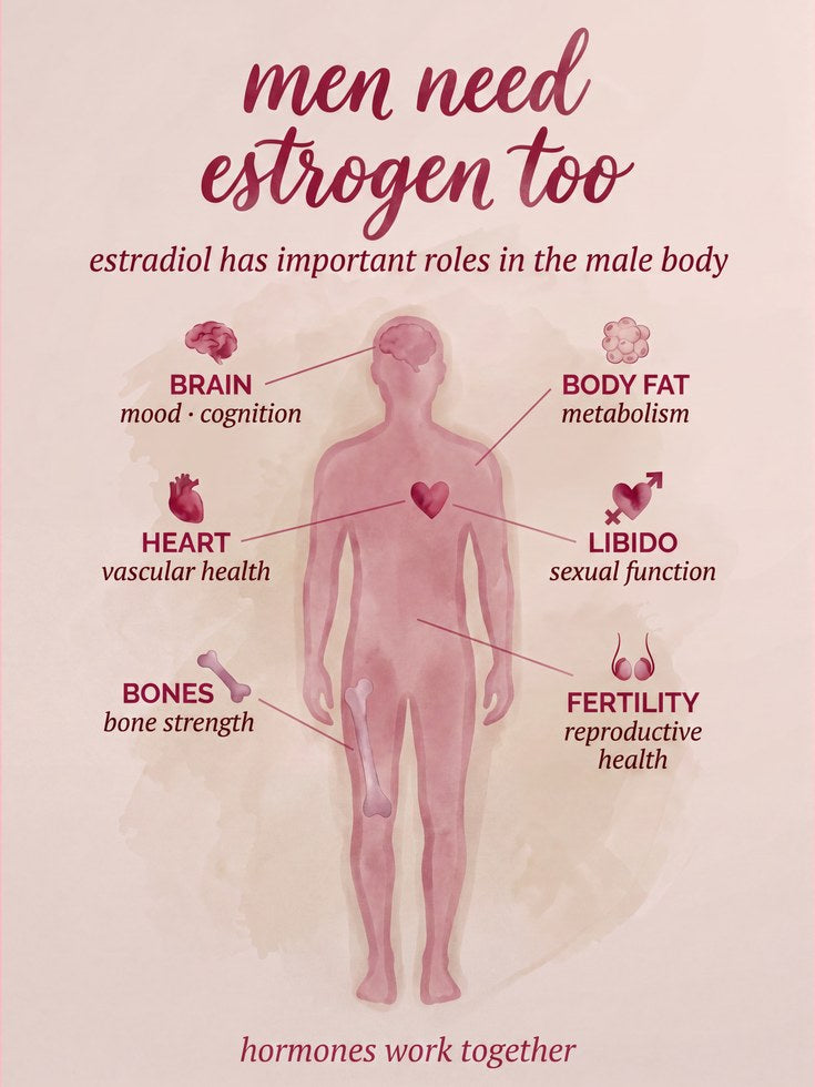 Men Need Estrogen Too Medical Infographic: Pink Health Poster - artwork on paper