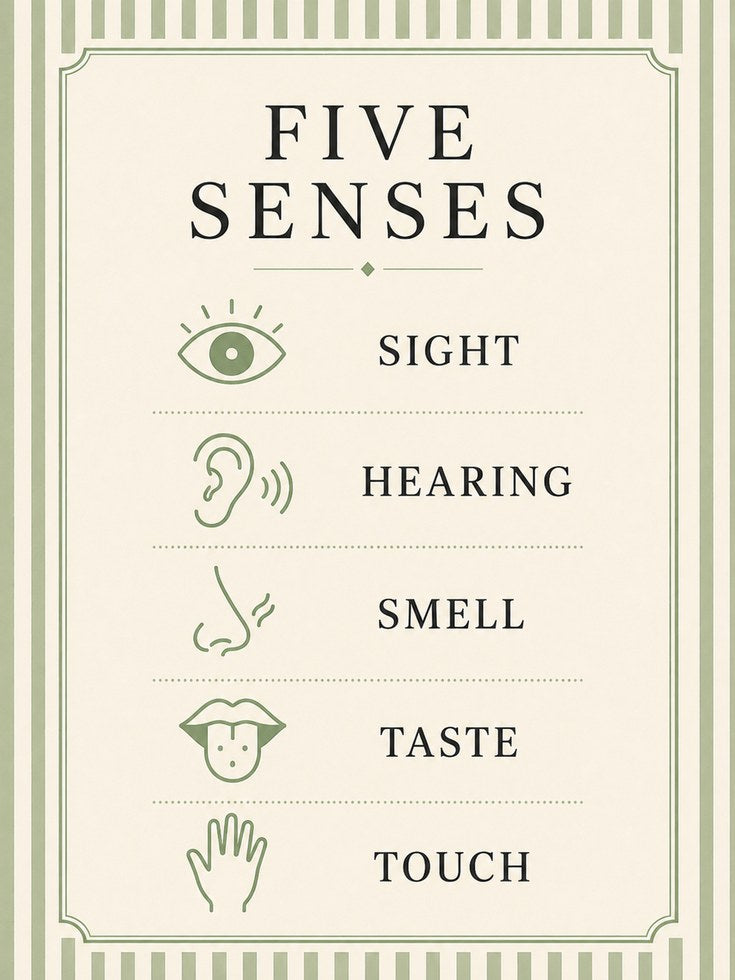 Five Senses Poster – Educational Wall Art - artwork on paper