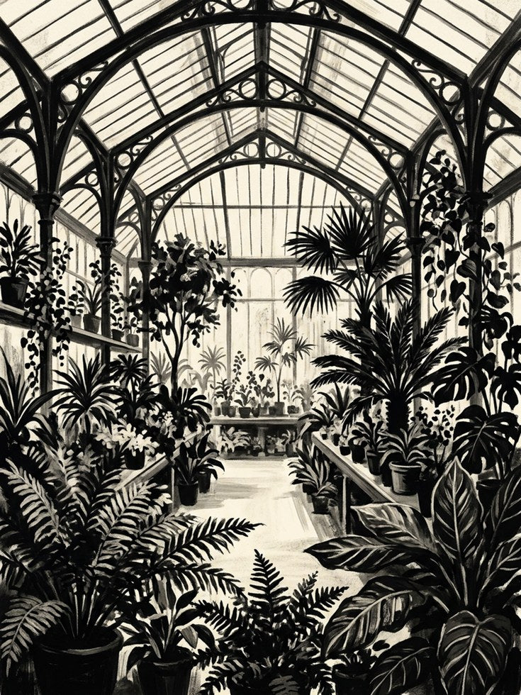 Victorian Glasshouse Interior: Black and White Botanical Art Print - artwork on paper