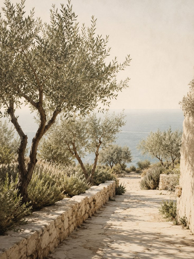 Olive Tree Pathway Wall Art - artwork on paper