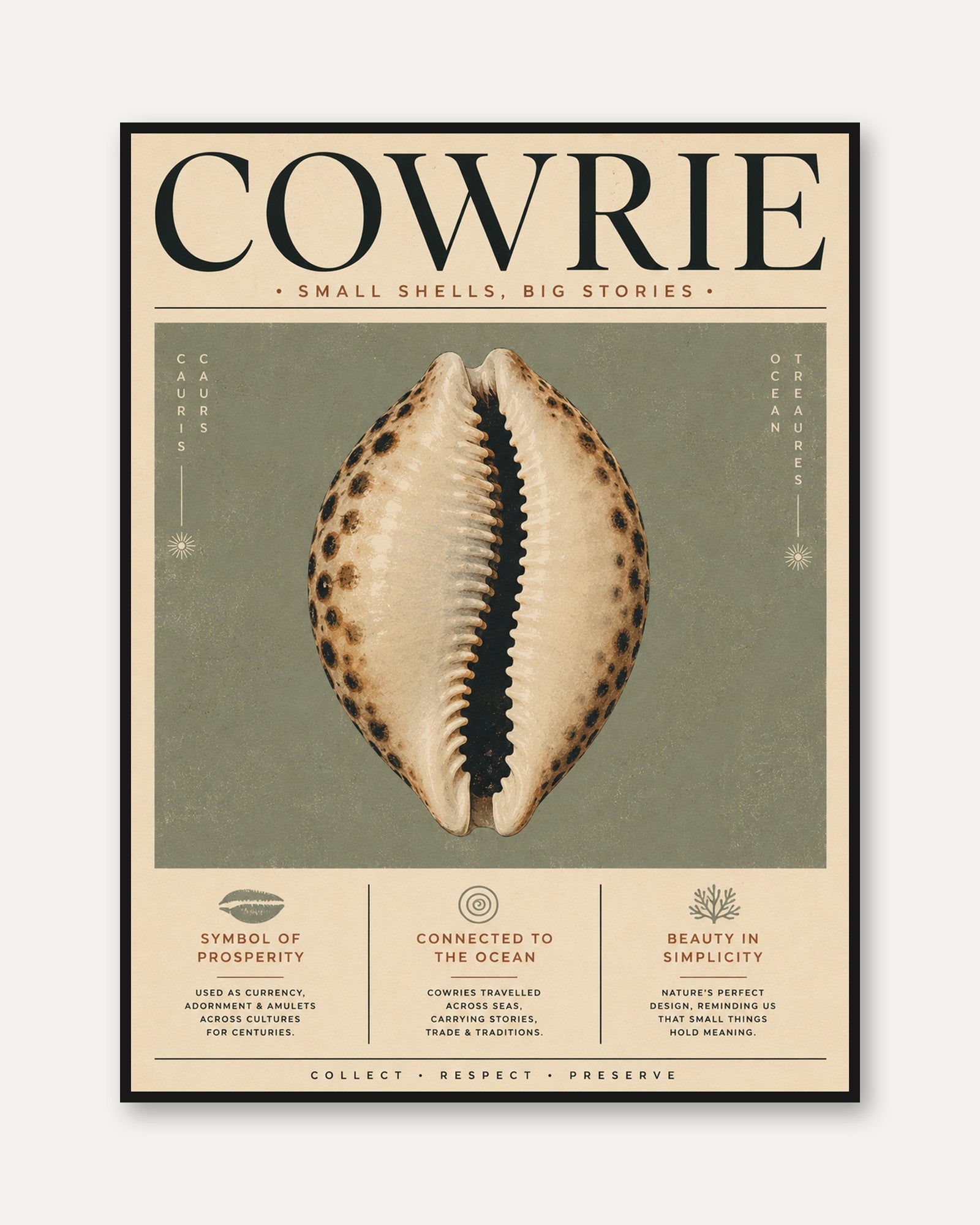 Cowrie Shell Wall Art – Coastal Decor Print - framed