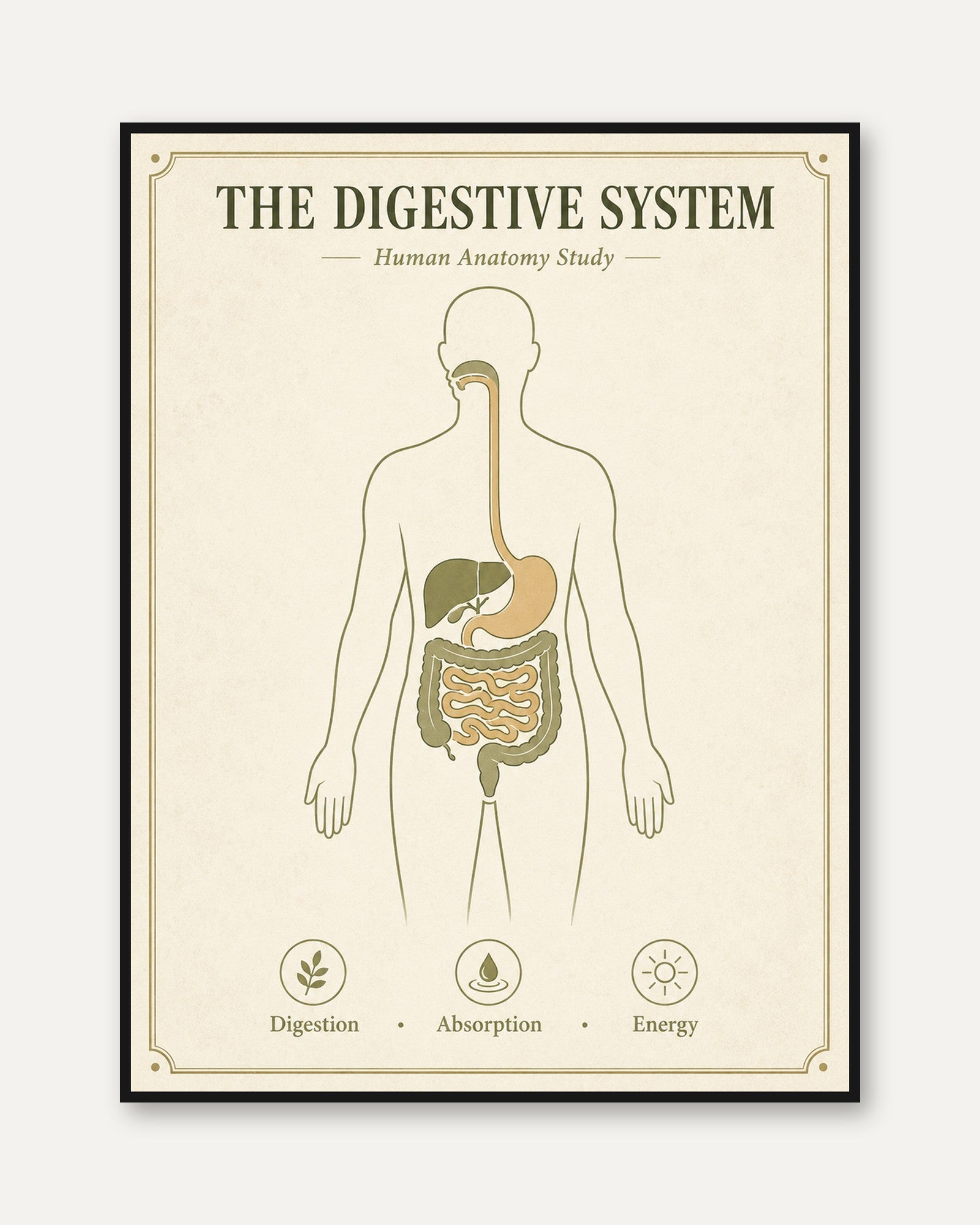 Digestive System Anatomy Print — Vintage Educational Study Chart - framed