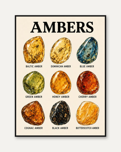 Amber Types Educational Print — Illustrated Gemstone Chart - framed