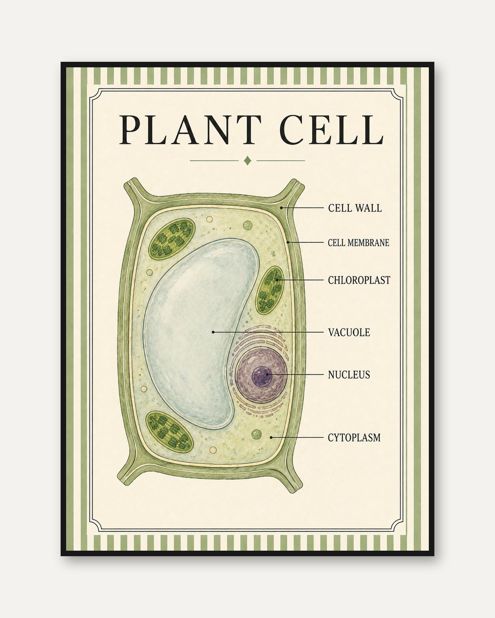 Plant Cell Poster – Biology Wall Art - framed