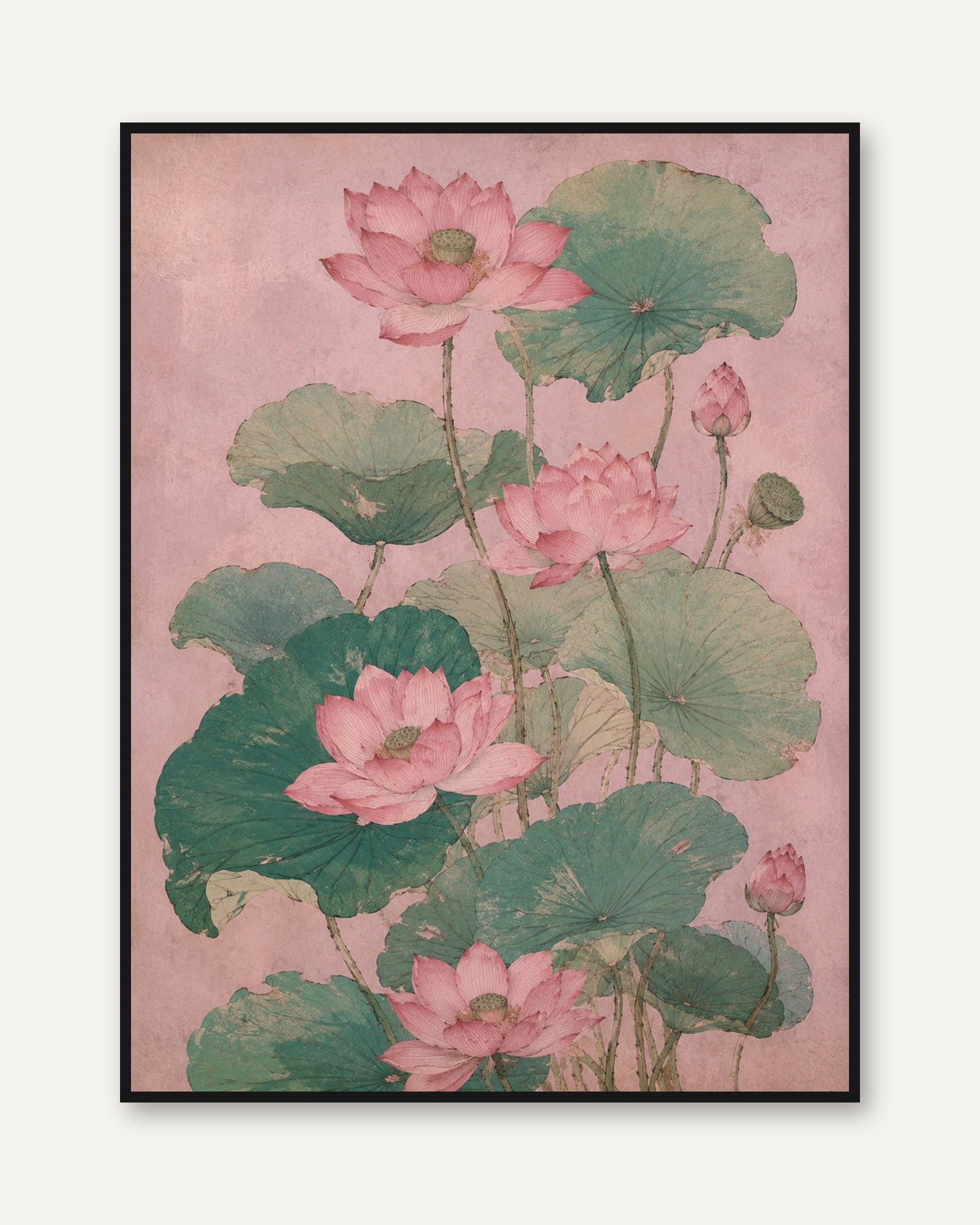 Pink Lotus Flowers Art Print: Vintage Botanical Illustration - framed