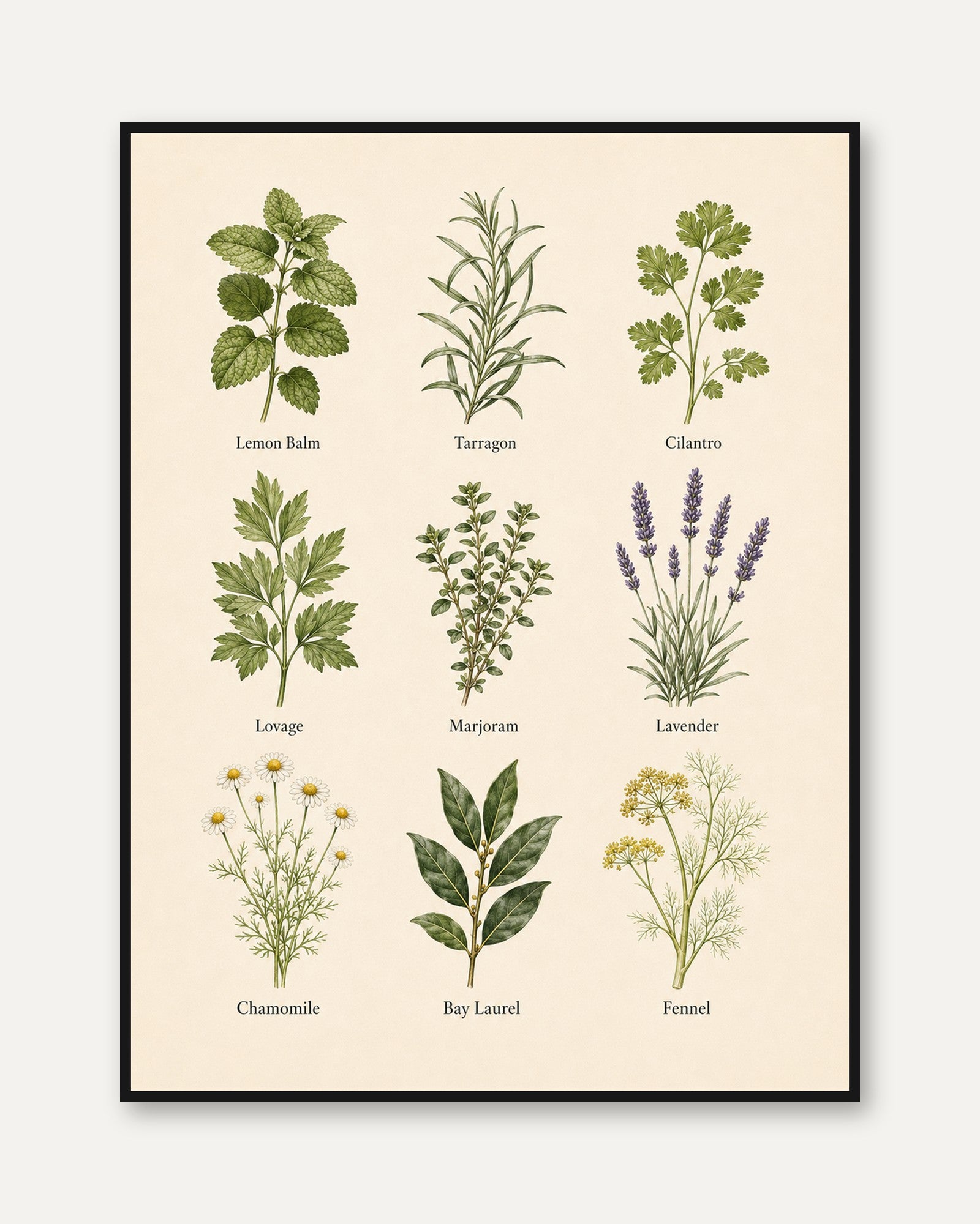 Kitchen Herbs Print – Botanical Chart Wall Art - framed