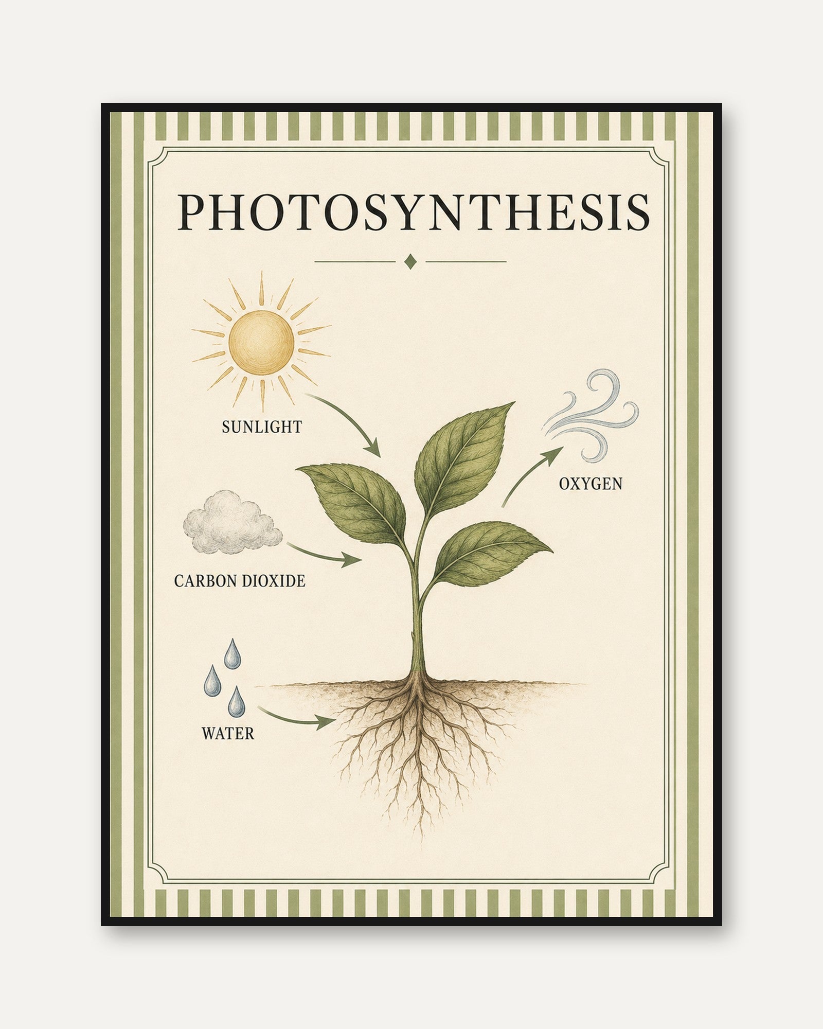 Photosynthesis Poster – Educational Wall Art - framed