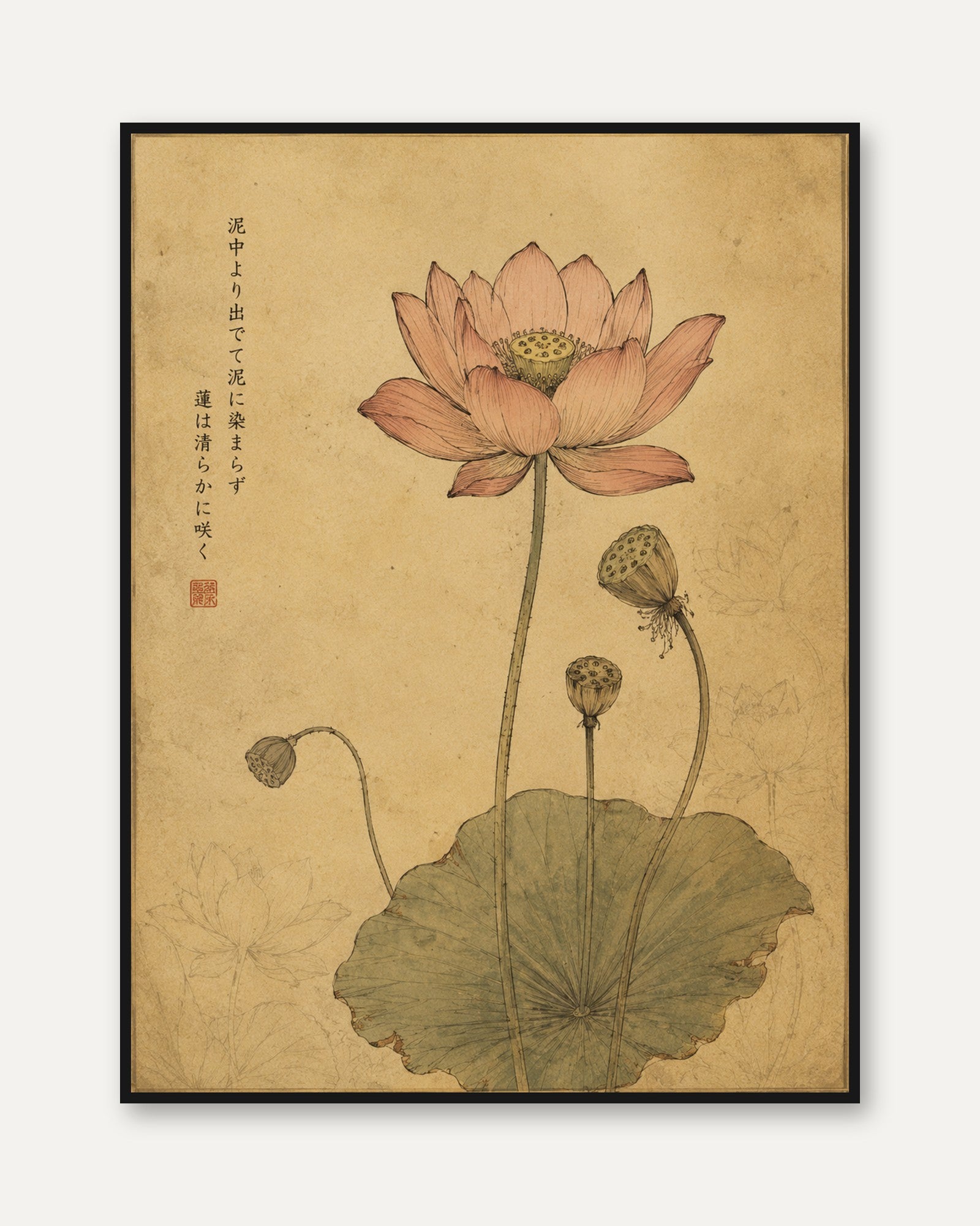 Vintage Lotus Flower Print — Japanese Botanical Illustration - framed