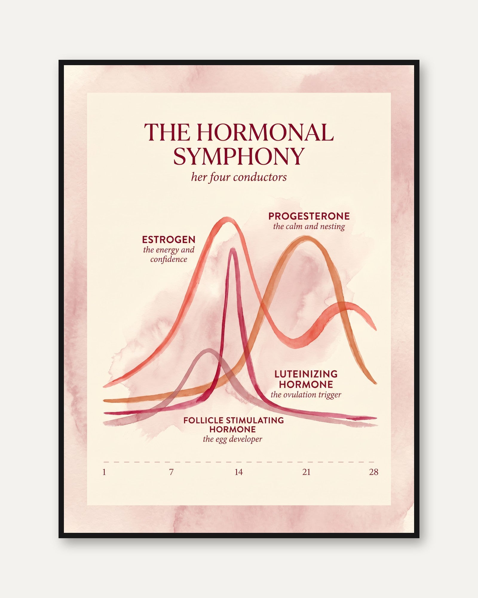 Menstrual Cycle Poster - framed
