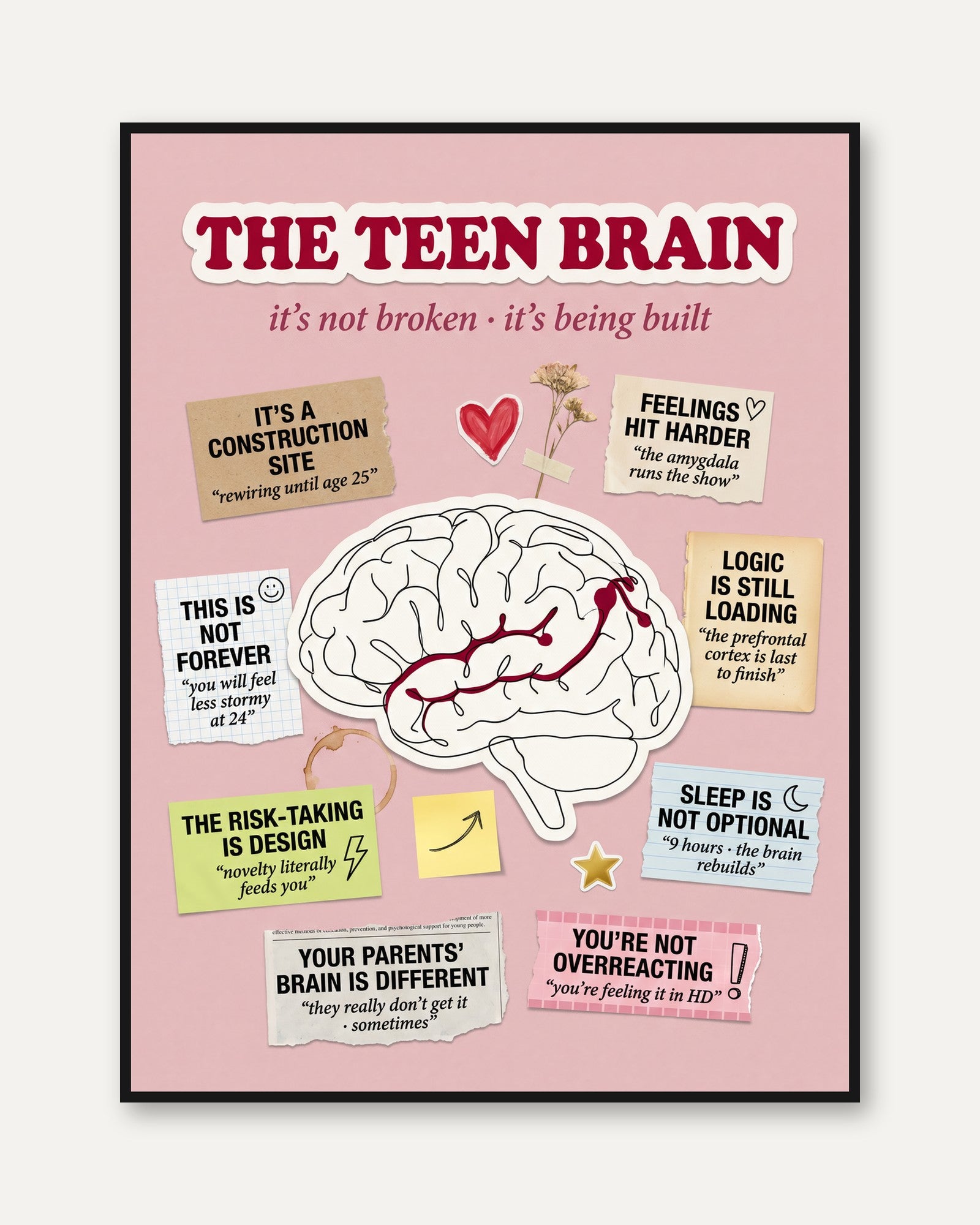 Teen Brain Educational Poster - framed