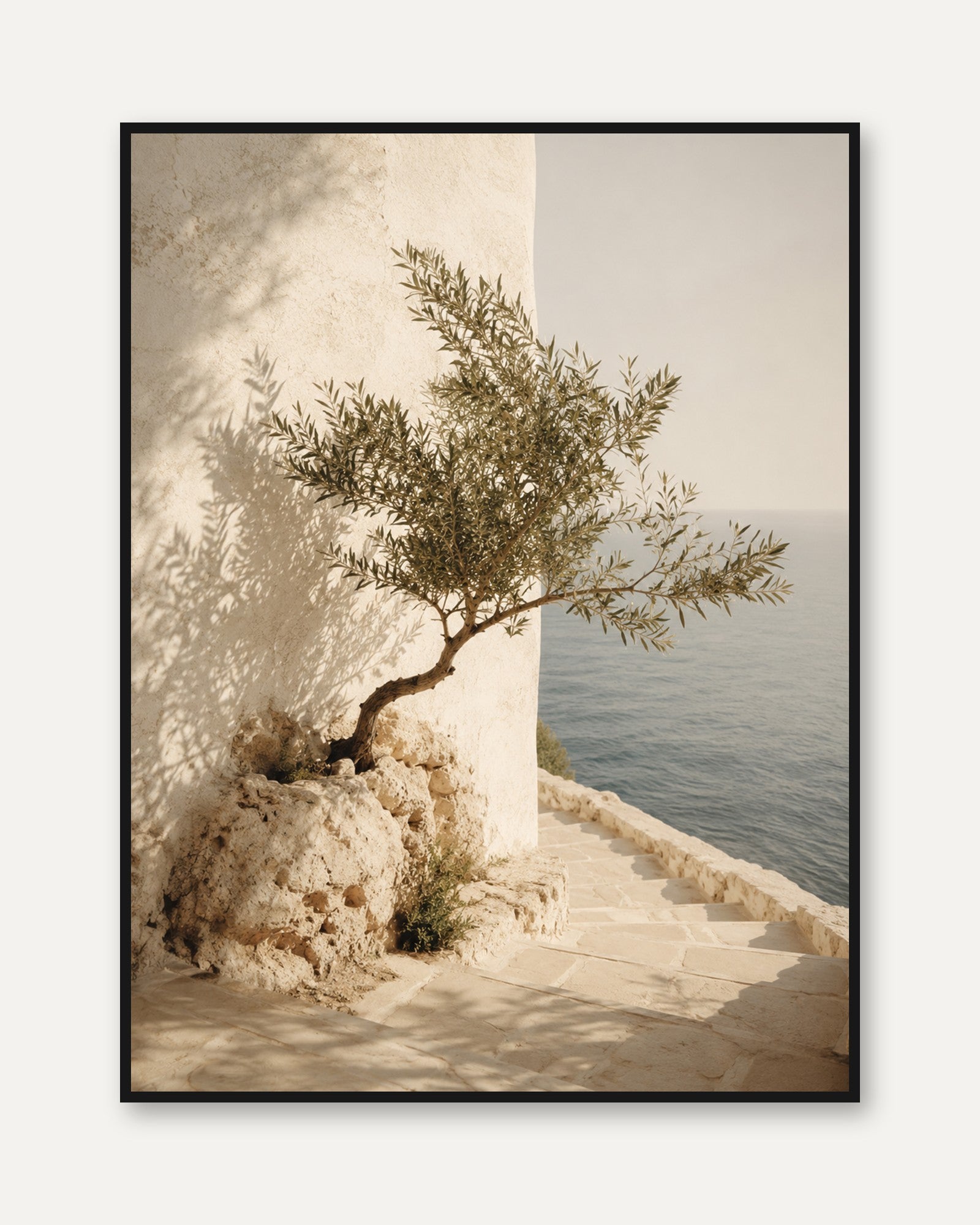 Mediterranean Olive Tree Print - framed