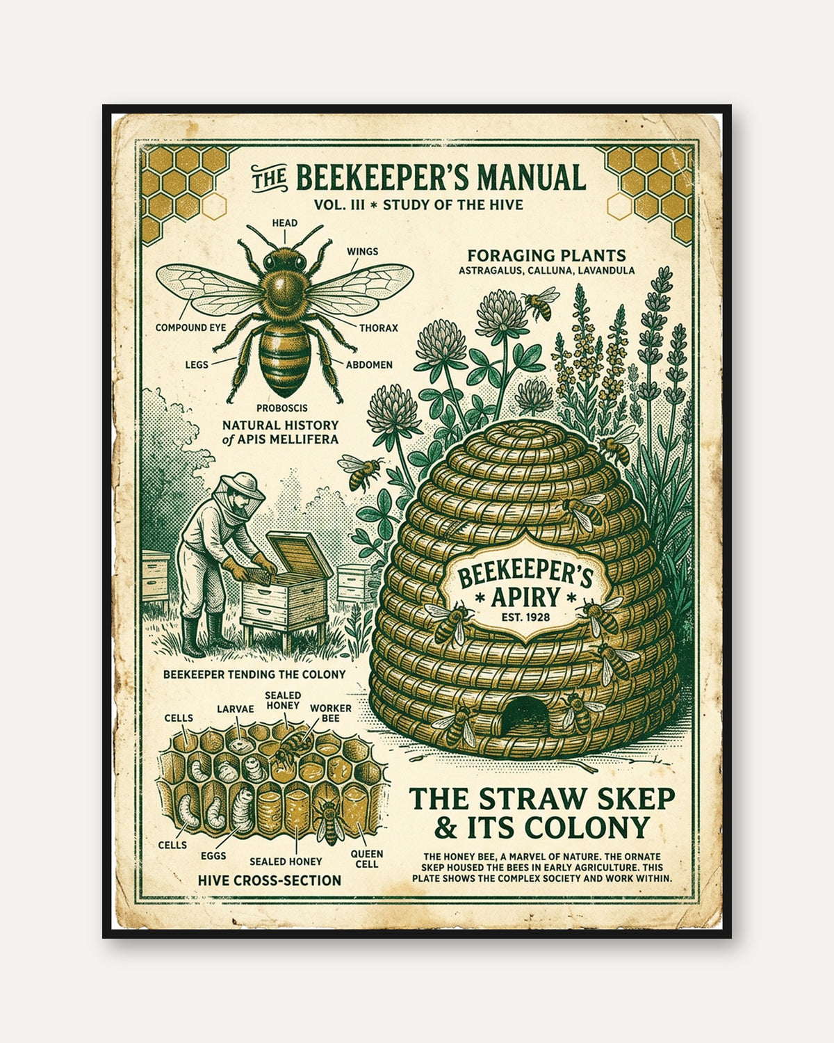 Beekeeper's Manual Poster: Vintage Educational Beekeeping Art - framed