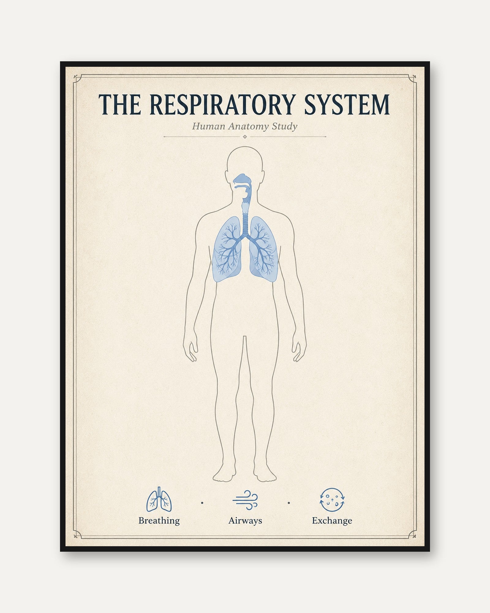 Respiratory System Anatomy Print — Vintage Medical Illustration - framed