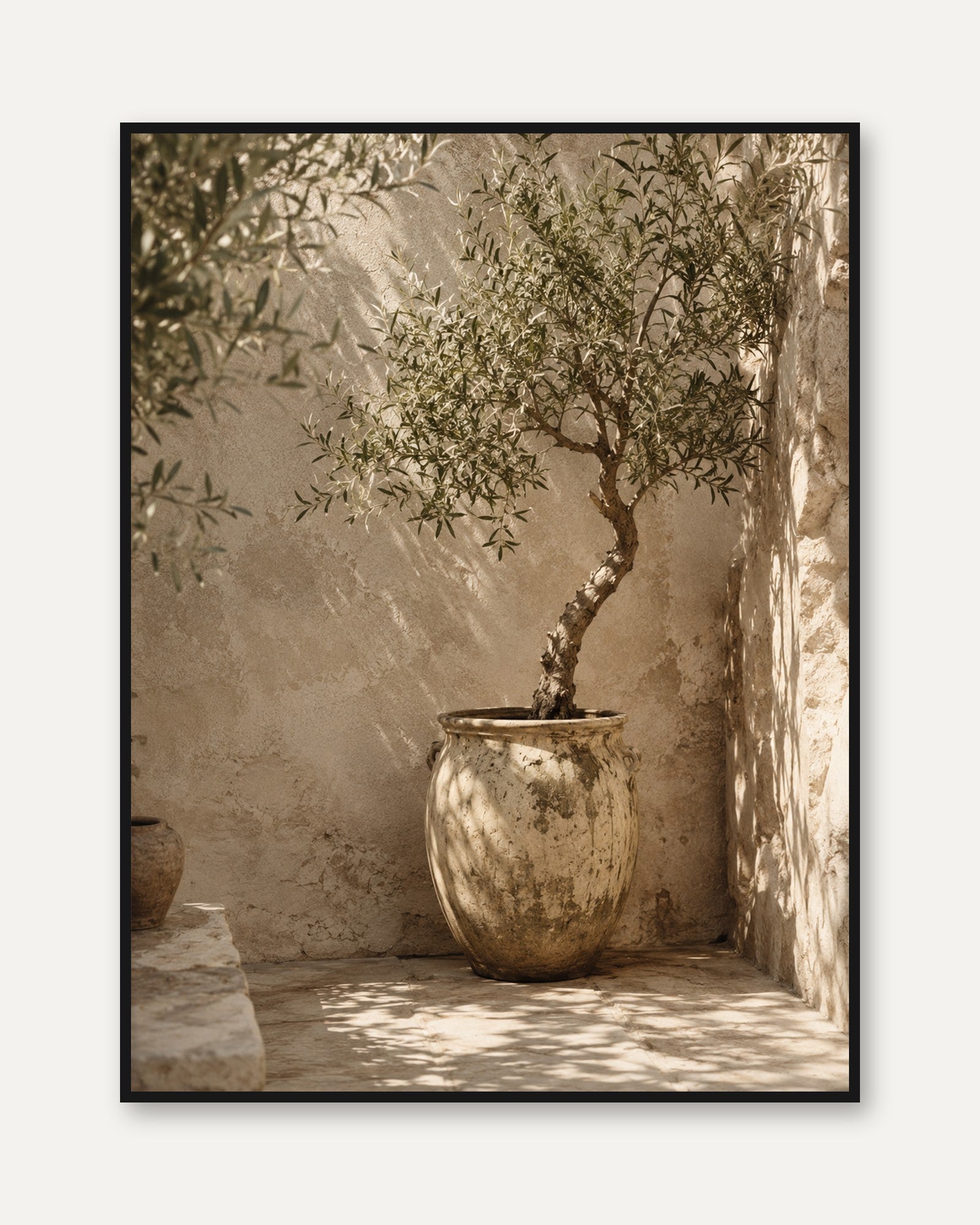 Mediterranean Olive Tree Wall Art: Rustic Sepia Photography - framed
