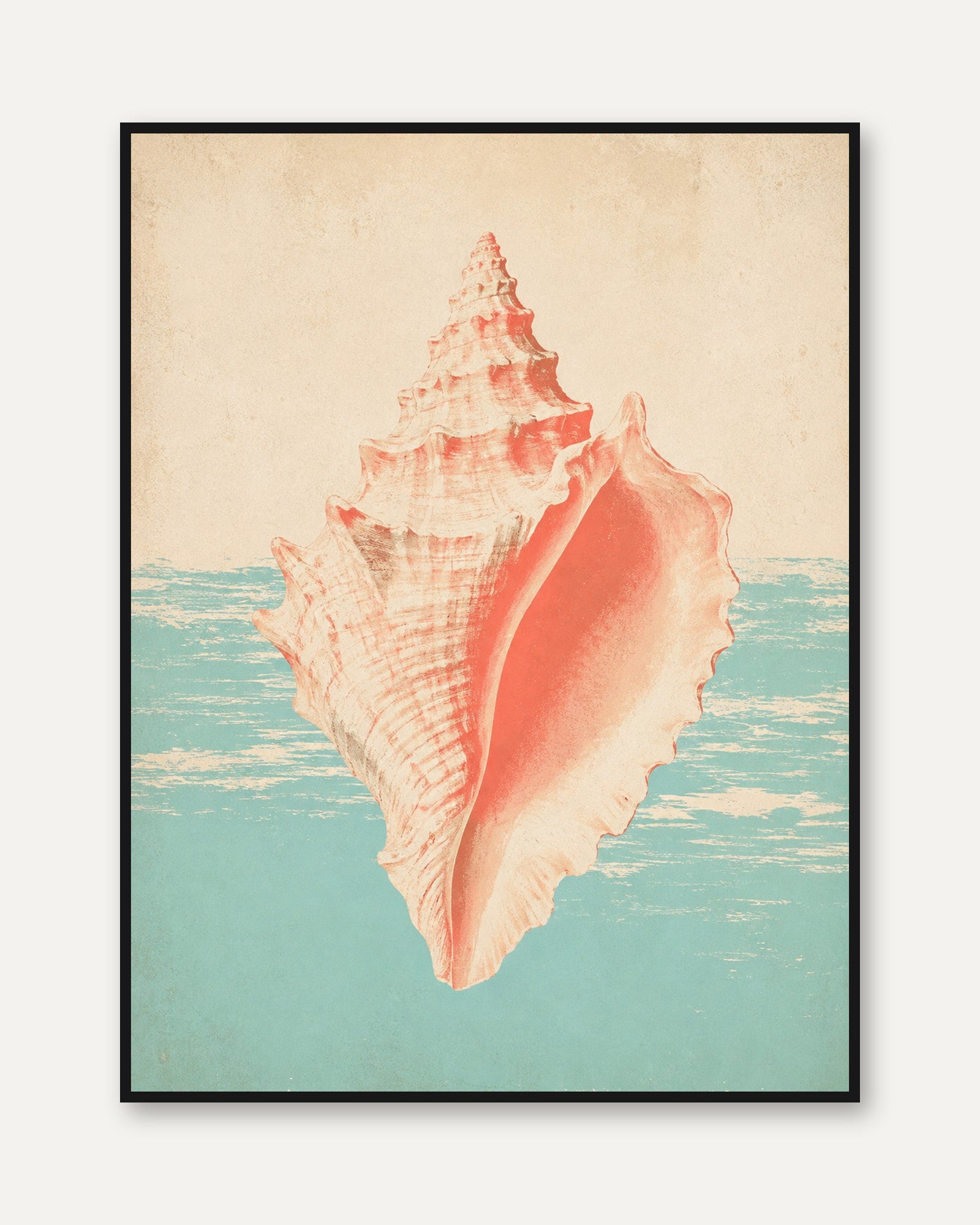 Seashell Wall Art – Coastal Print - framed