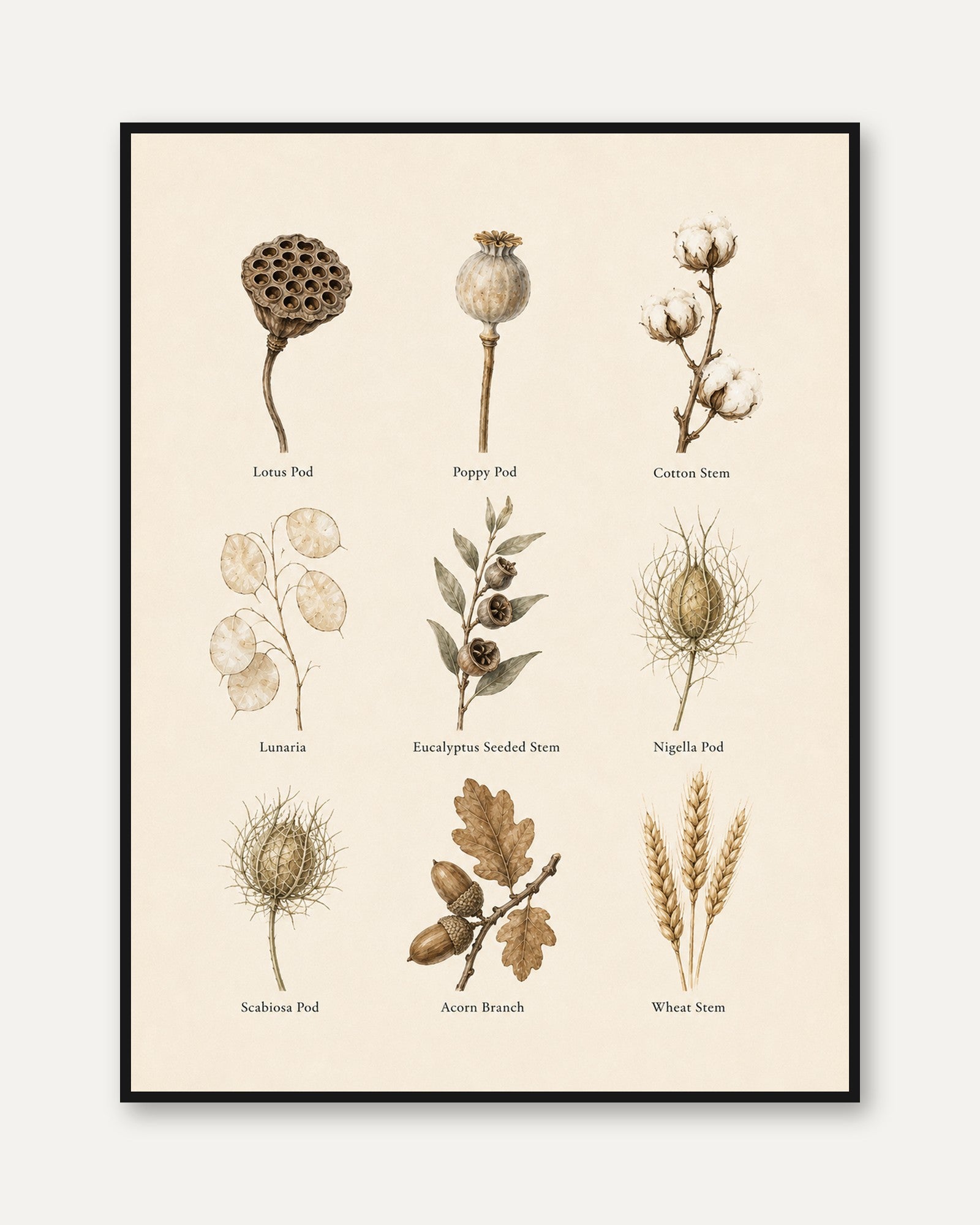 Botanical Chart Print – Dried Flower Wall Art - framed