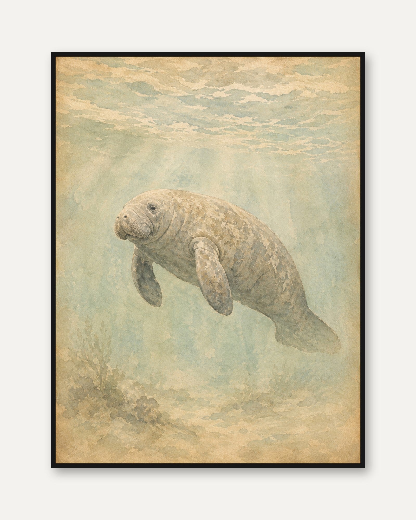Manatee Wall Art – Vintage Marine Animal Print - framed