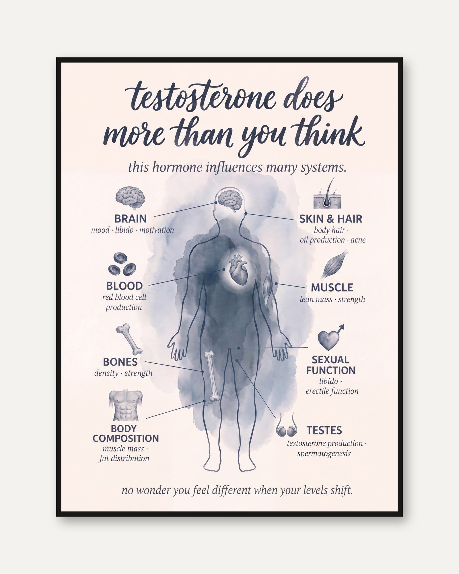 Testosterone Poster – Hormone Health Wall Art - framed