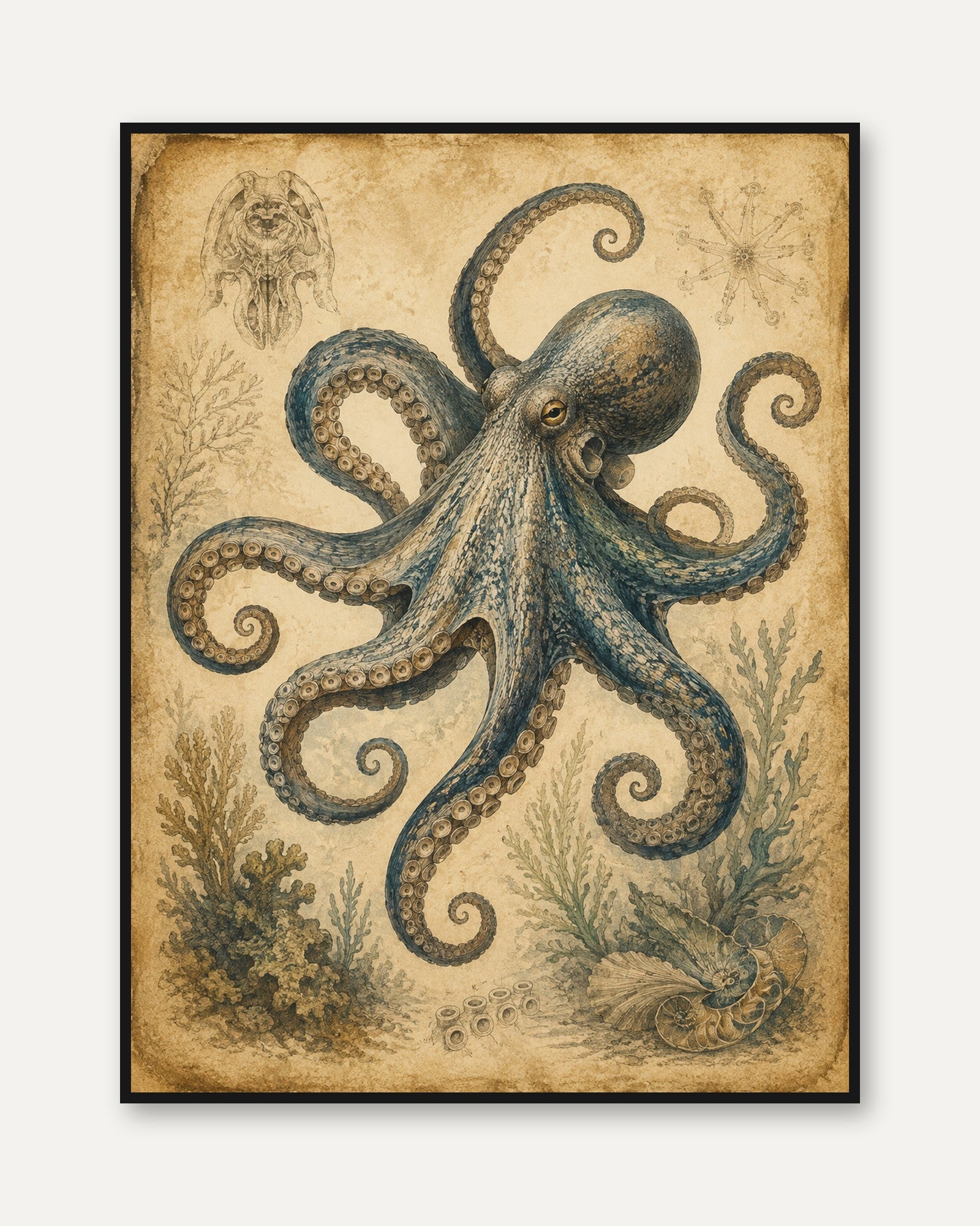 Octopus Wall Art – Vintage Marine Print - framed
