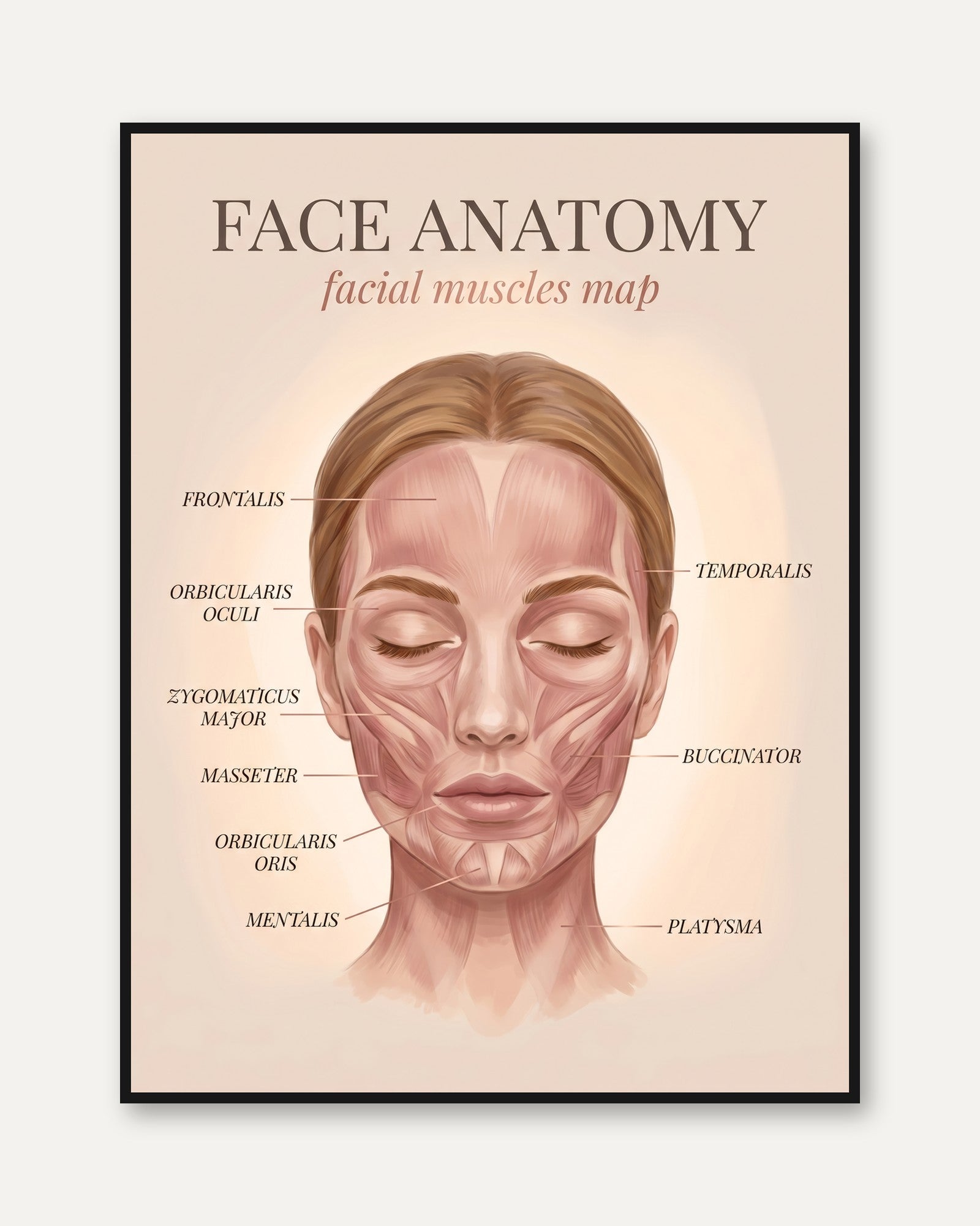 Facial Anatomy Print – Muscle Map - framed