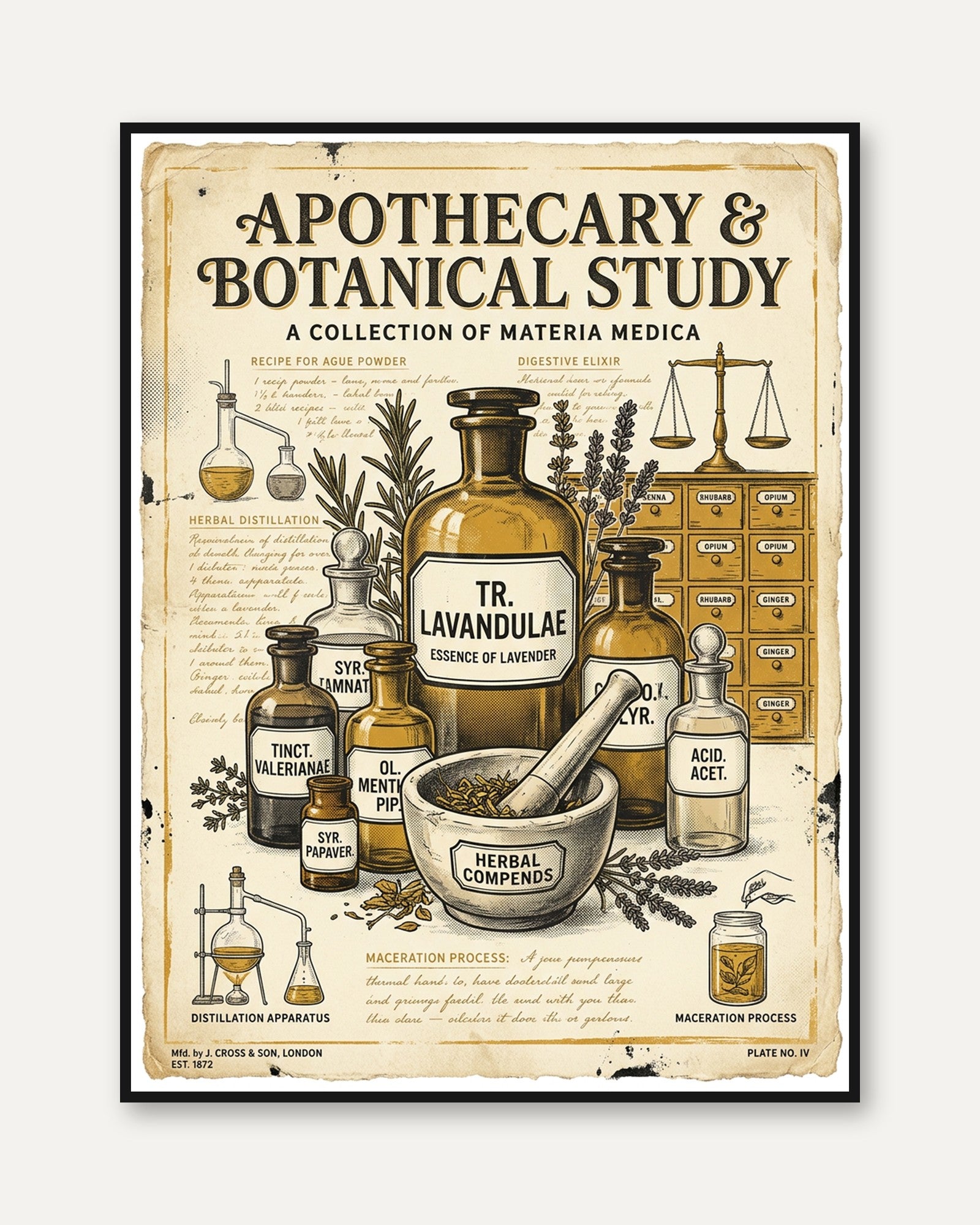 Apothecary Botanical Study Poster: Vintage Medicinal Herbs Art - framed