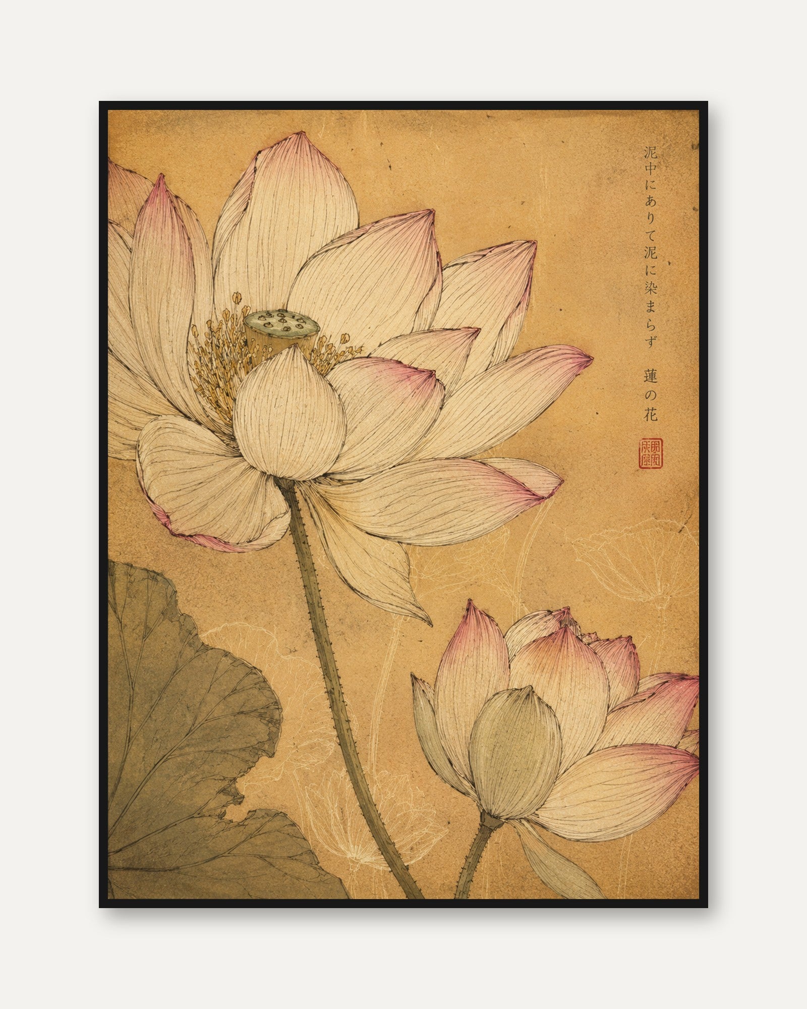 Lotus Flower Vintage Print — Japanese Botanical Art - framed