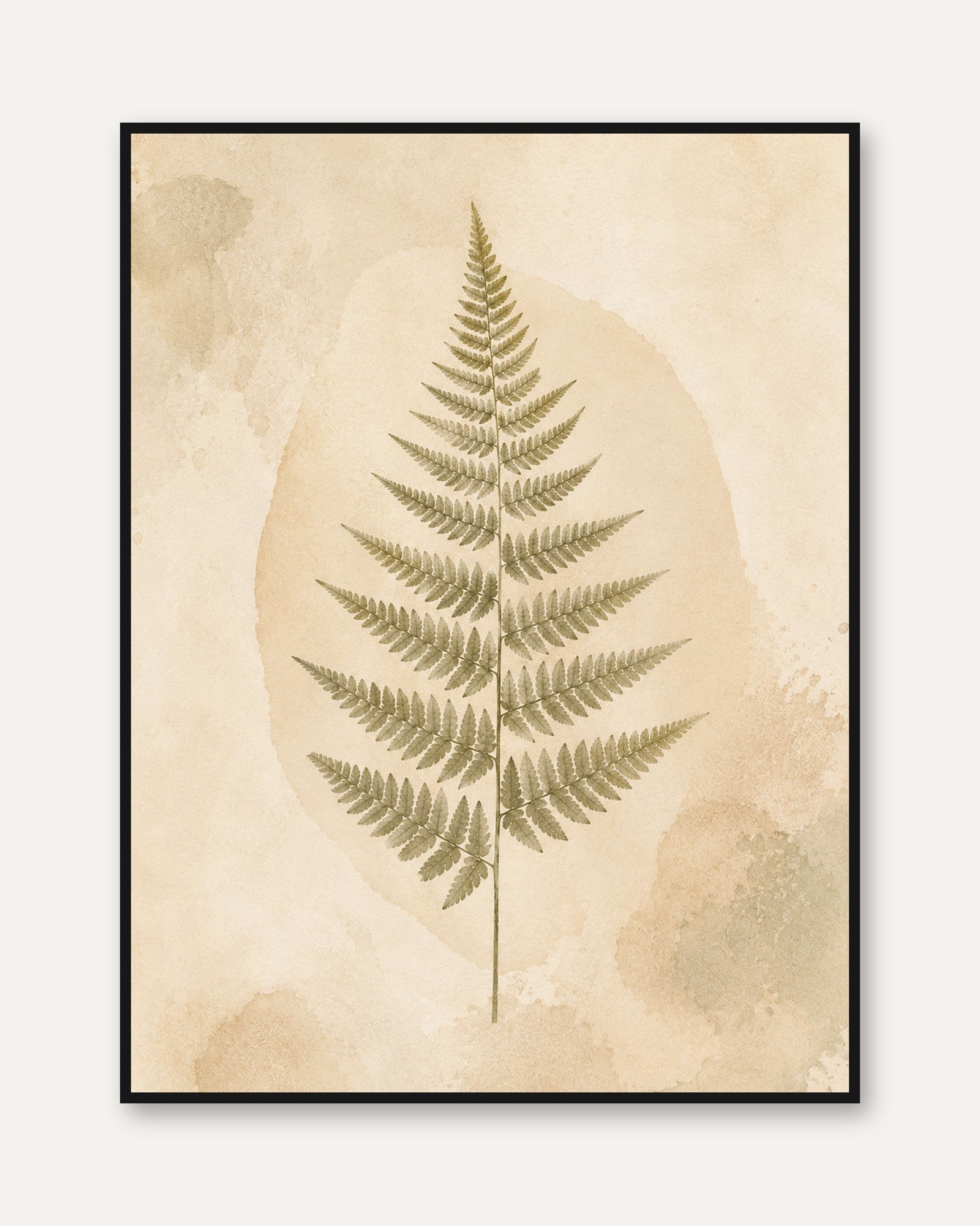 Vintage Fern Wall Art – Botanical Print - framed