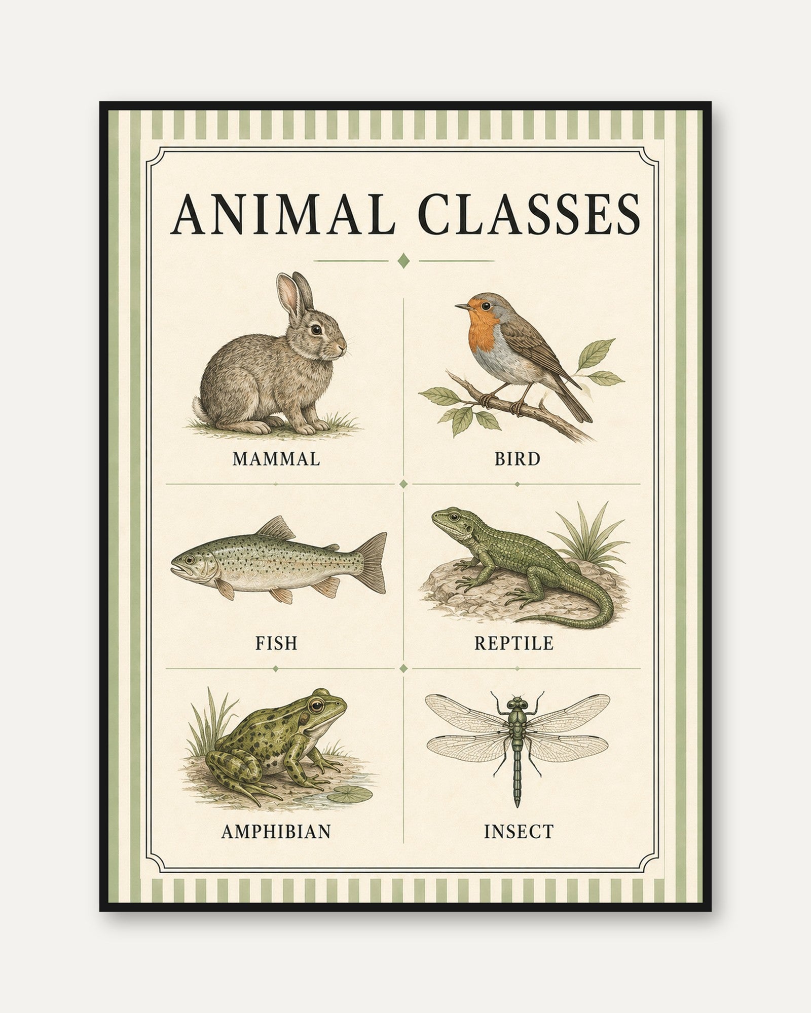 Animal Classes Poster – Educational Science Print - framed