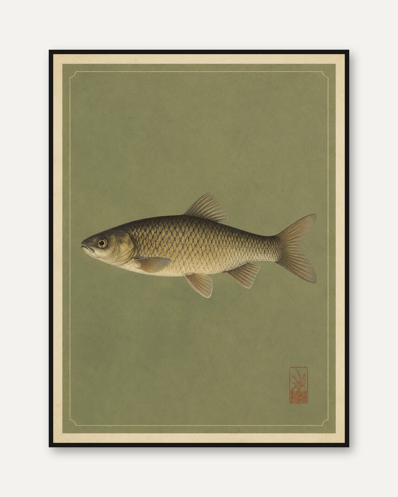 Vintage Fish Wall Art - framed