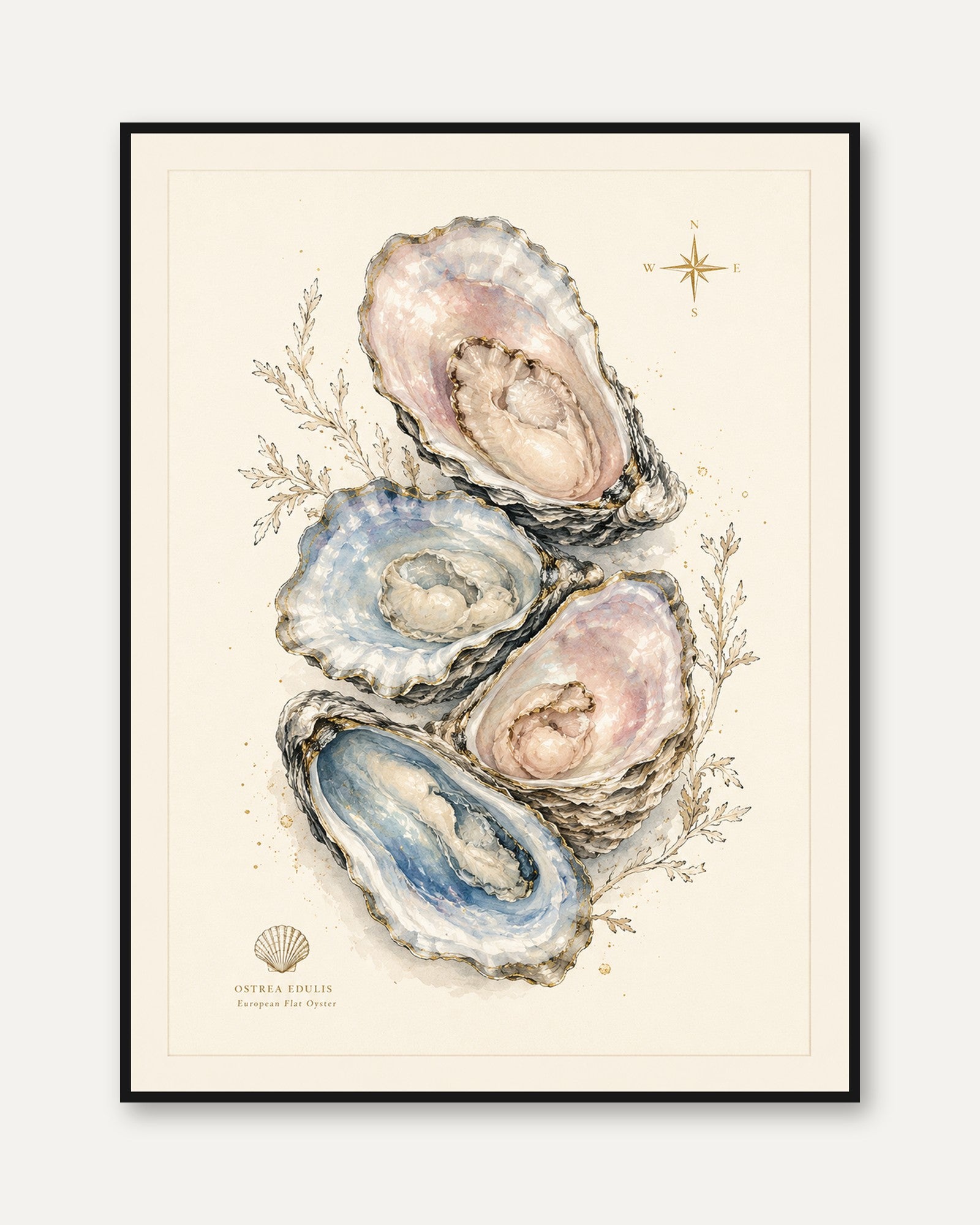 Oyster Wall Art – Coastal Nautical Print - framed
