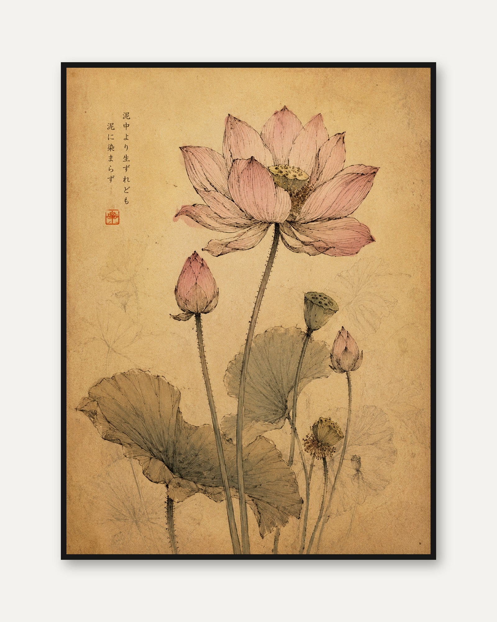 Lotus Flower Botanical Print — Vintage Japanese Style - framed