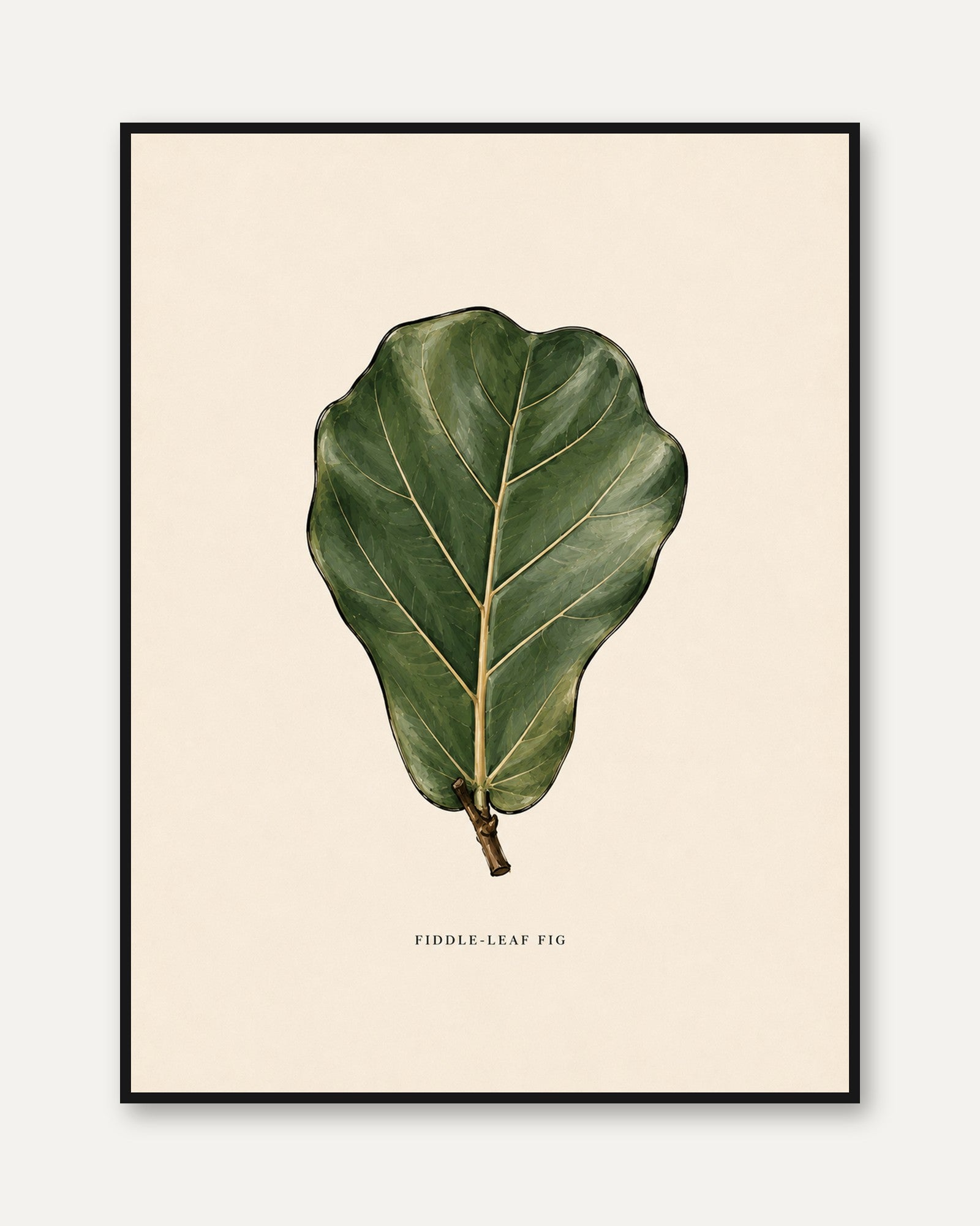 Fiddle Leaf Fig Print – Botanical Leaf Wall Art - framed