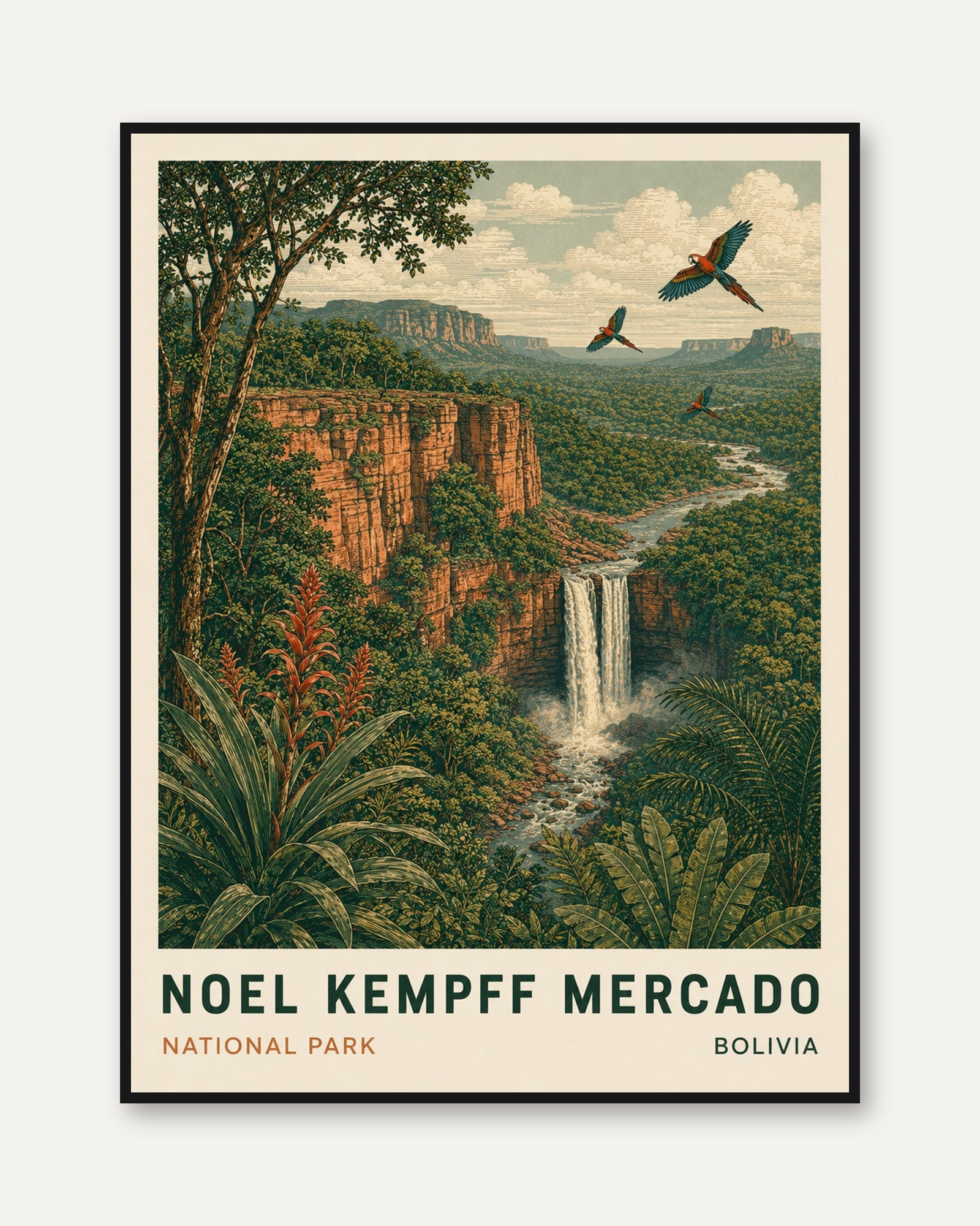 Bolivia Travel Poster – National Park Print - framed