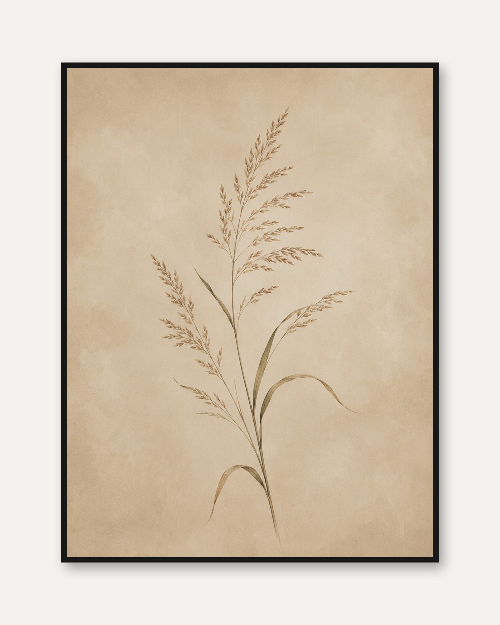 Botanical Grass Print — Delicate Pressed Plant Illustration - framed