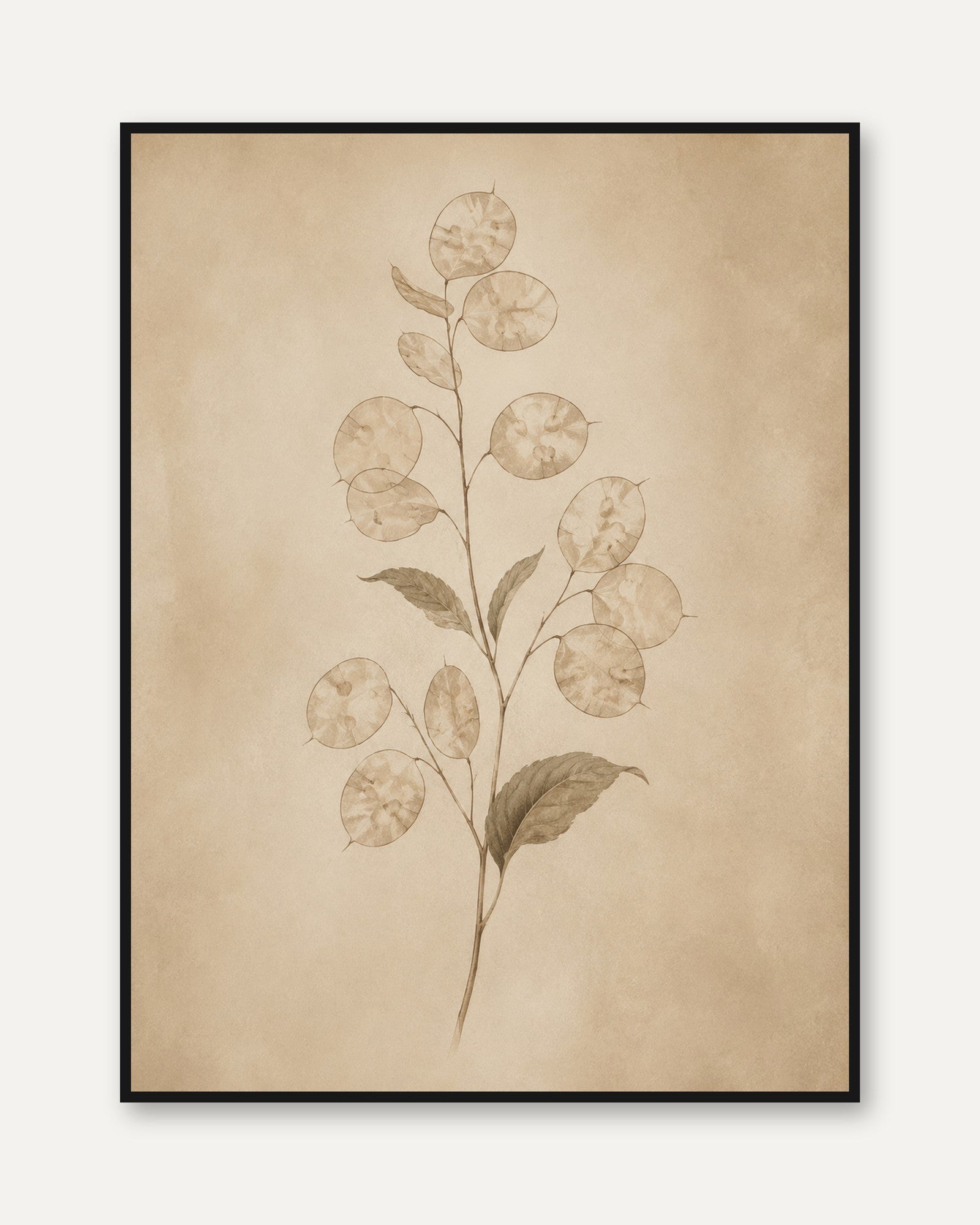 Botanical Eucalyptus Print — Pressed Plant Illustration - framed