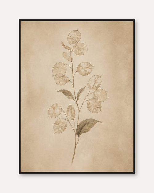 Botanical Eucalyptus Print — Pressed Plant Illustration - framed