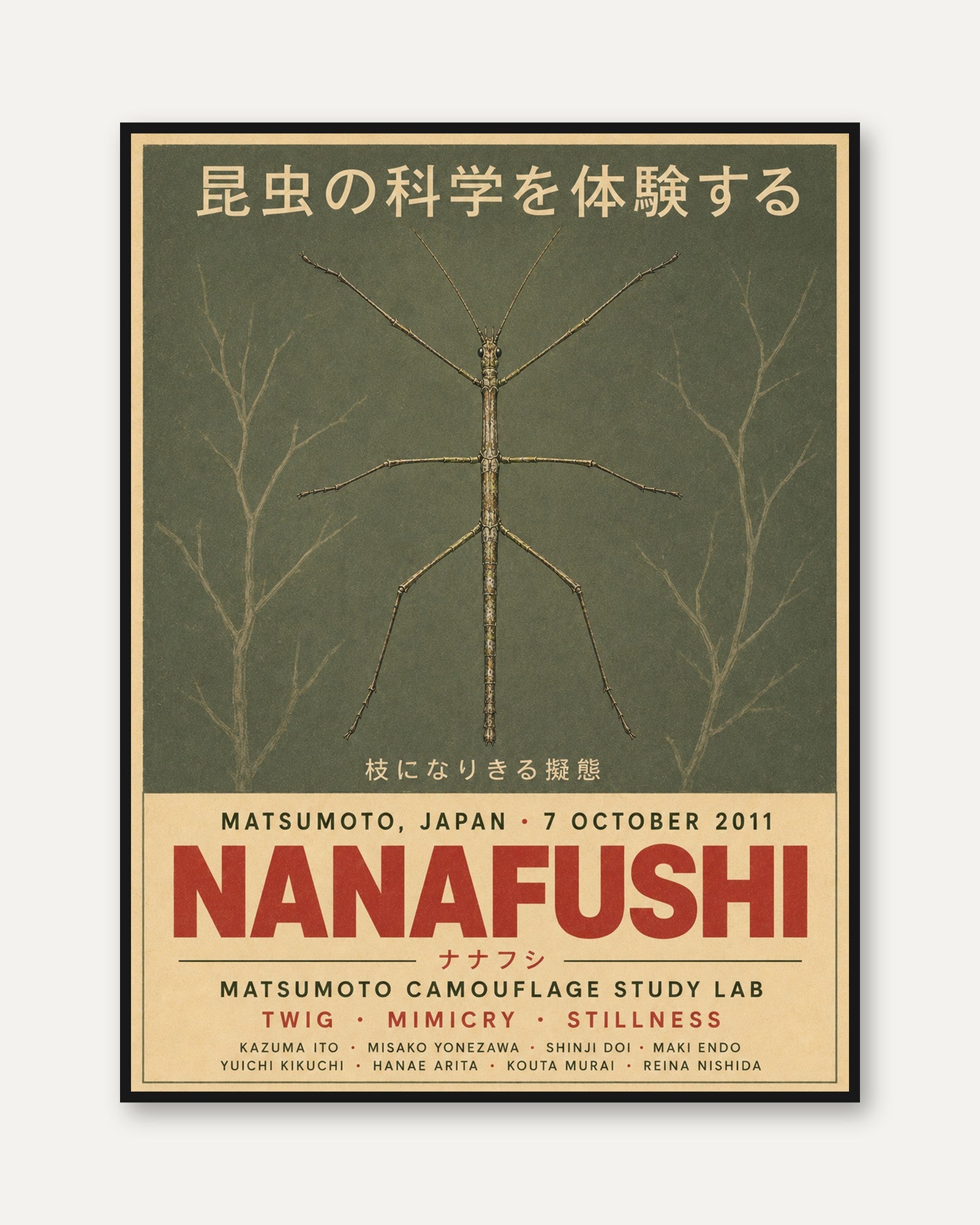 Japanese Stick Insect Poster: Vintage Scientific Illustration - framed