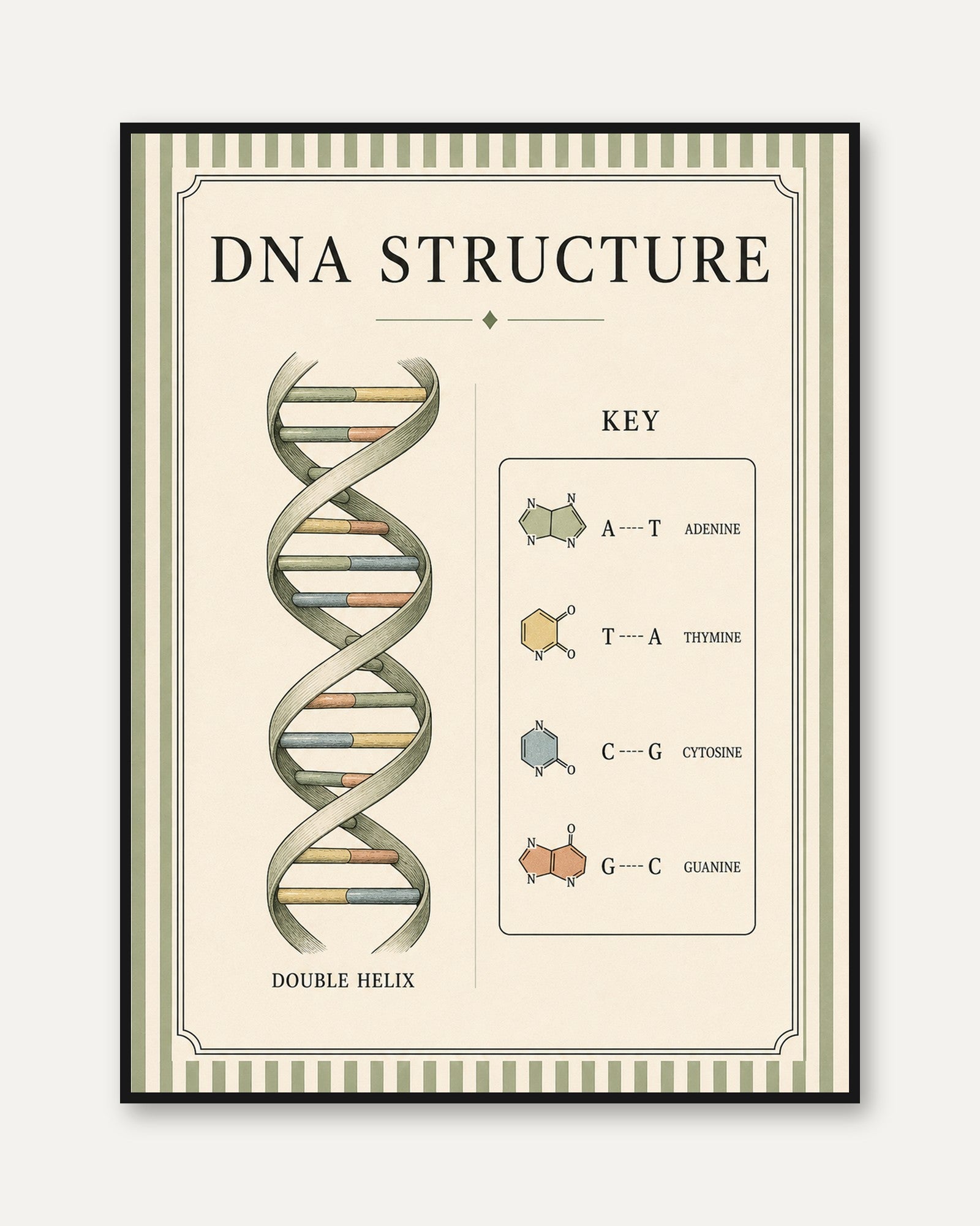 DNA Structure Poster – Science Wall Art - framed