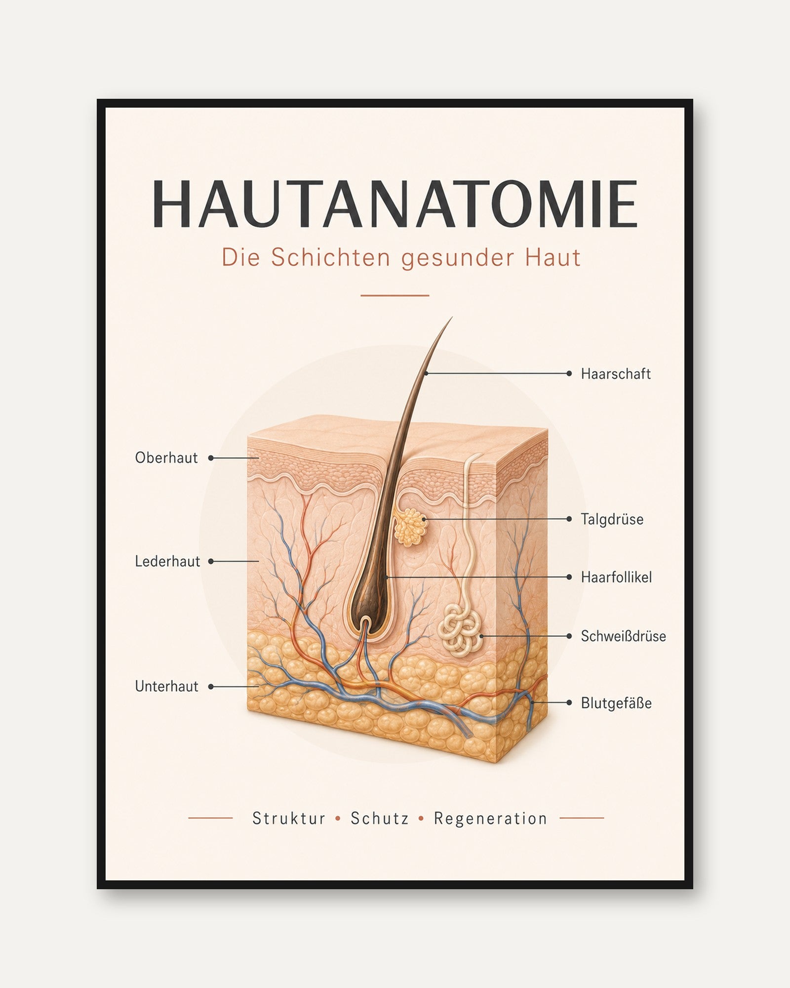 Skin Anatomy Poster – Medical Office Wall Art - framed