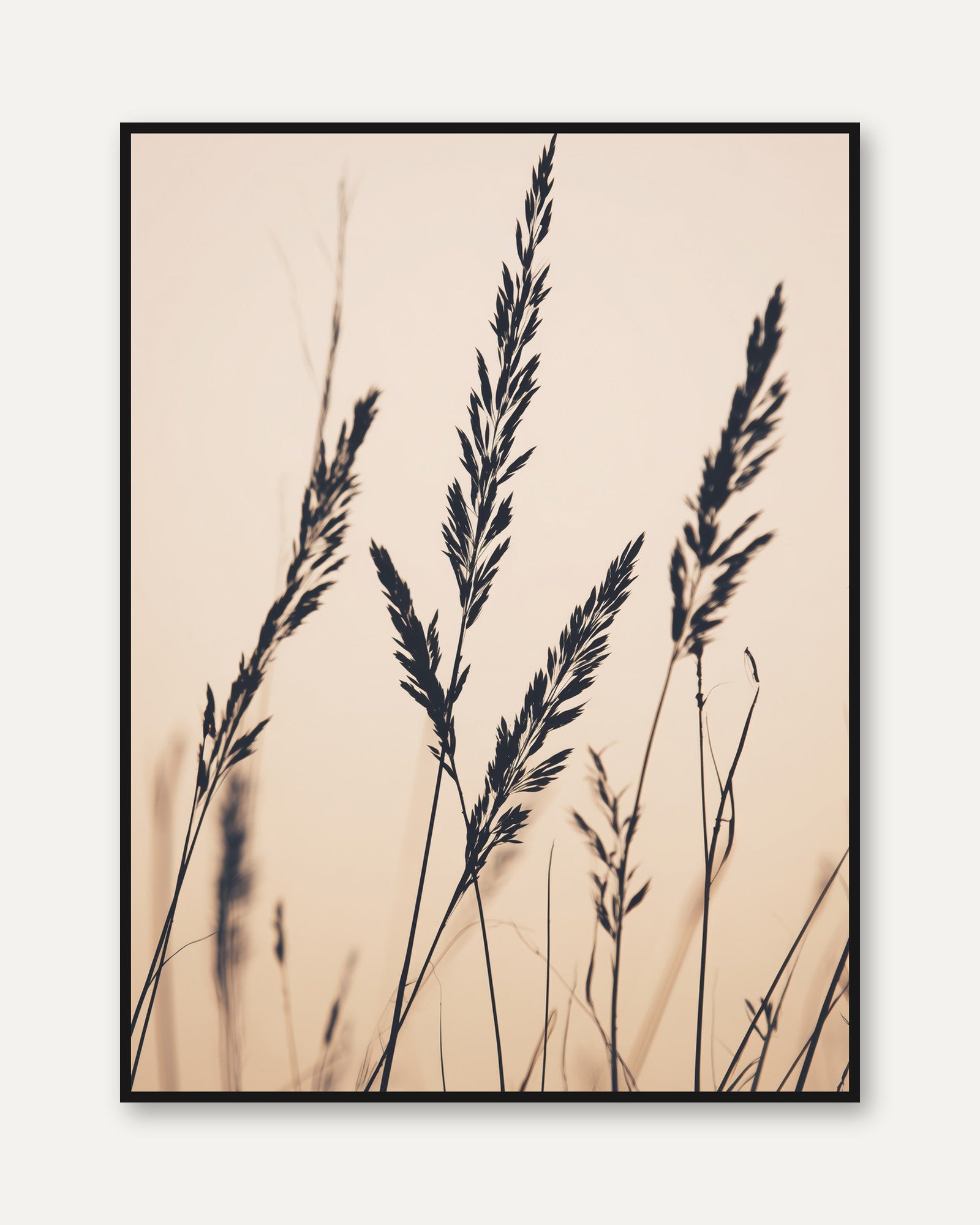 Botanical Grass Print: Minimalist Dried Wheat Stems - framed