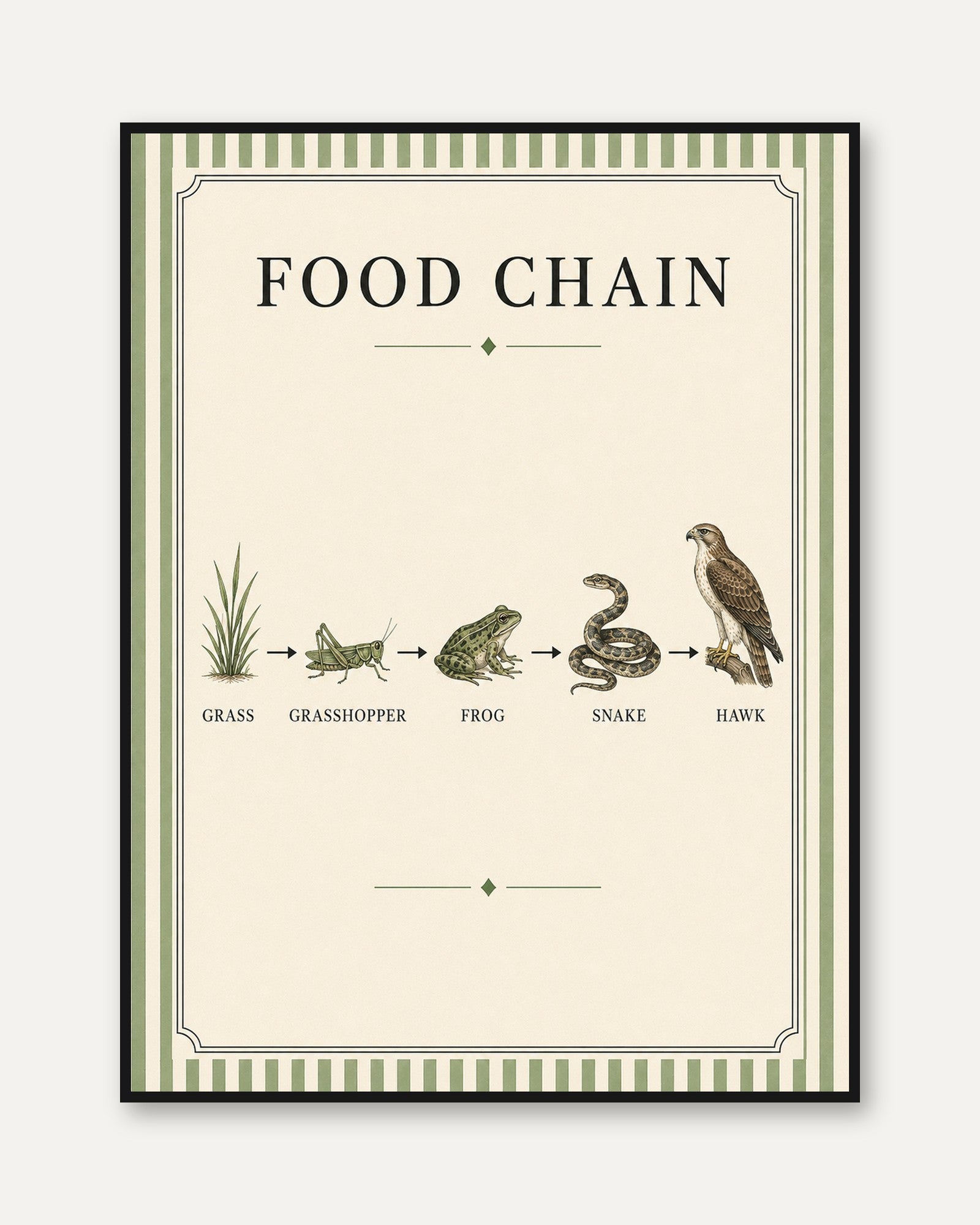 Food Chain Diagram Print: Vintage Natural History Wall Art - framed