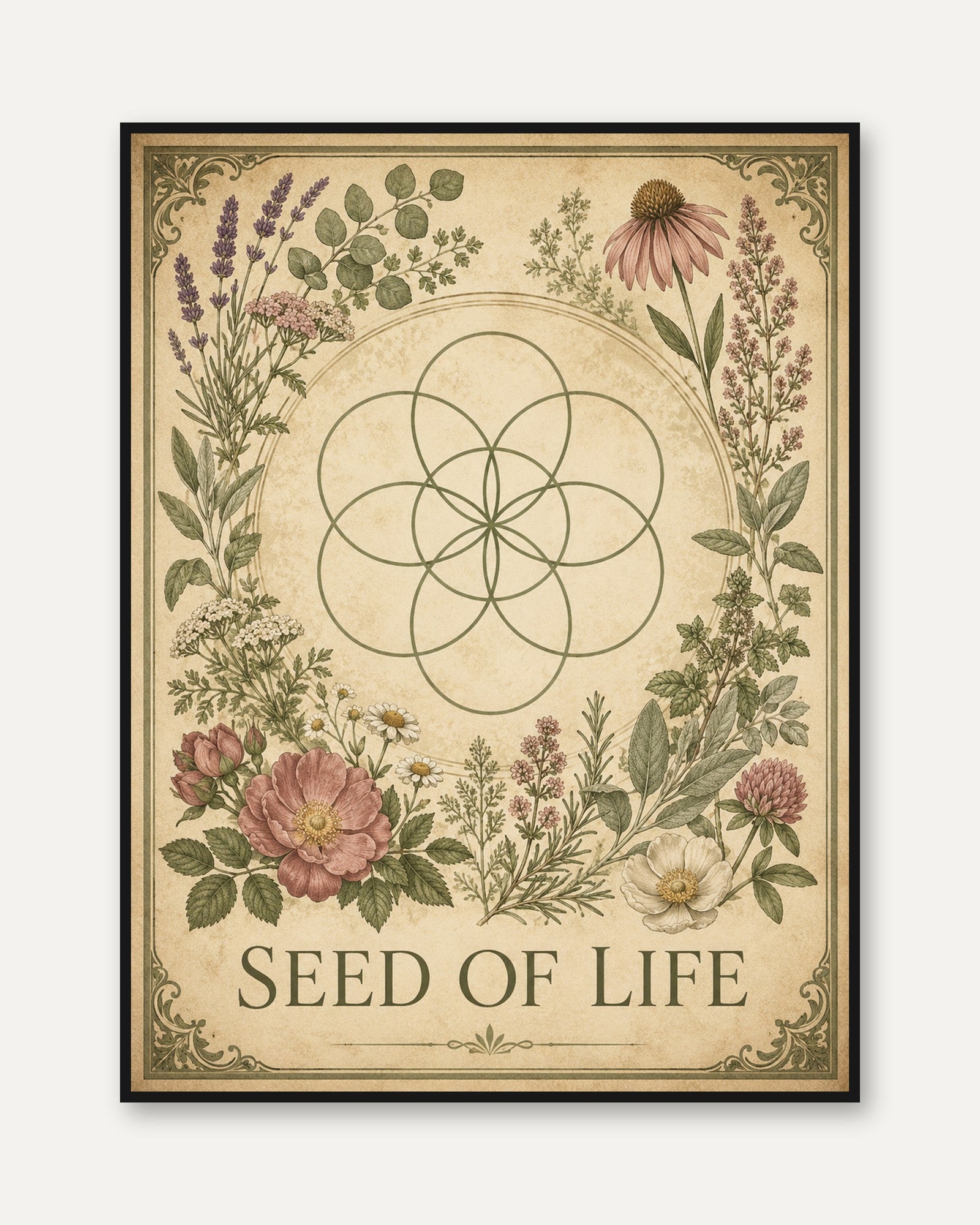 Seed of Life Botanical Print: Sacred Geometry with Wildflowers - framed