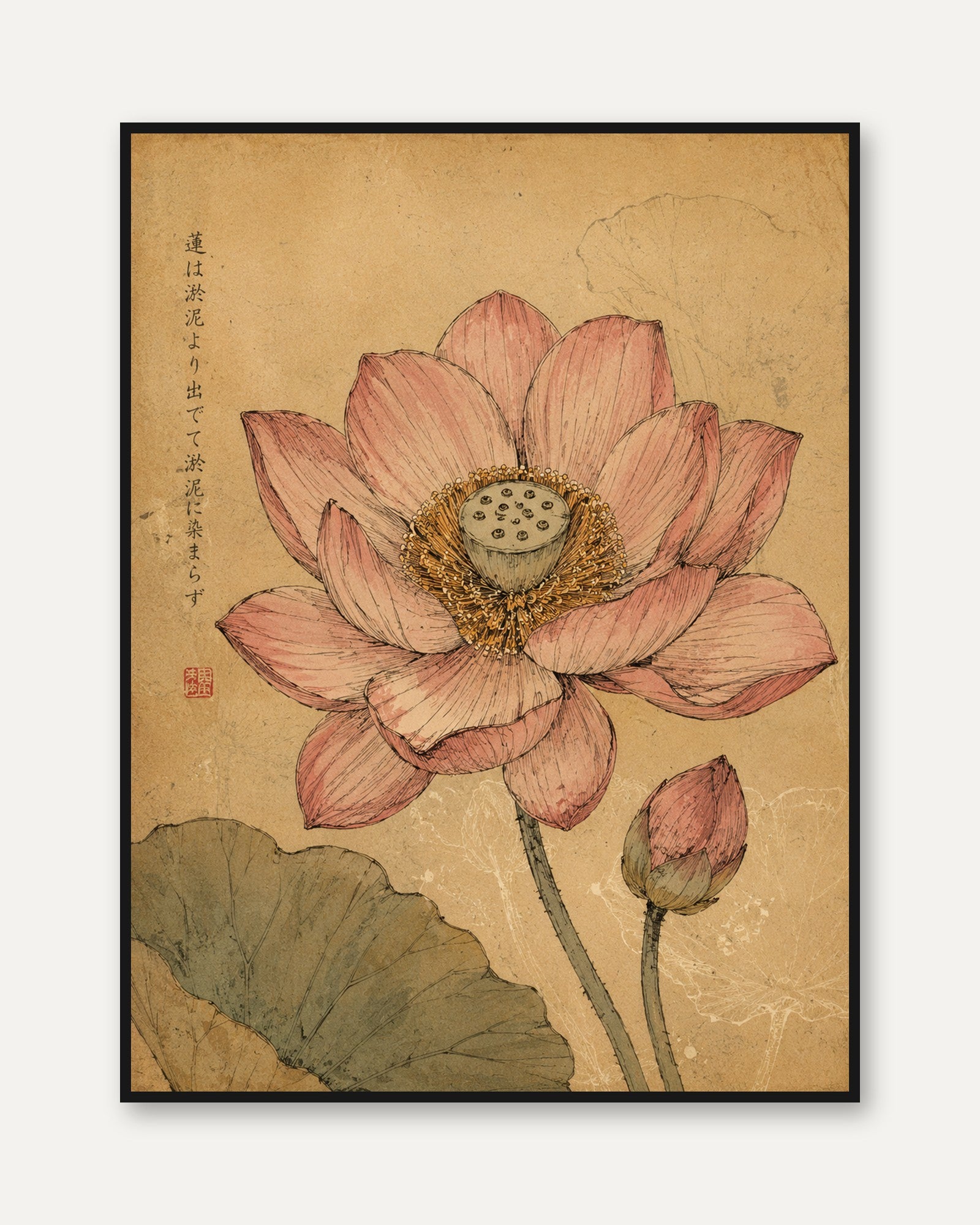 Japanese Lotus Flower Print — Vintage Botanical Art - framed