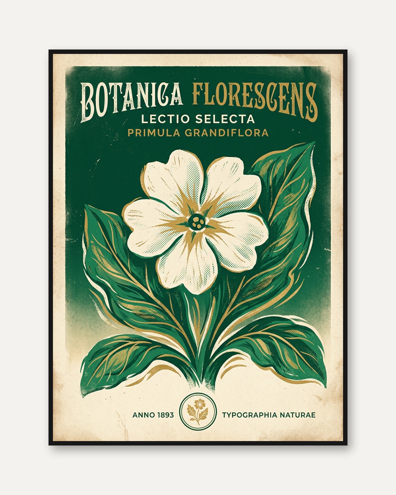 Vintage Botanical Print — Primula Grandiflora Art Nouveau Poster - framed