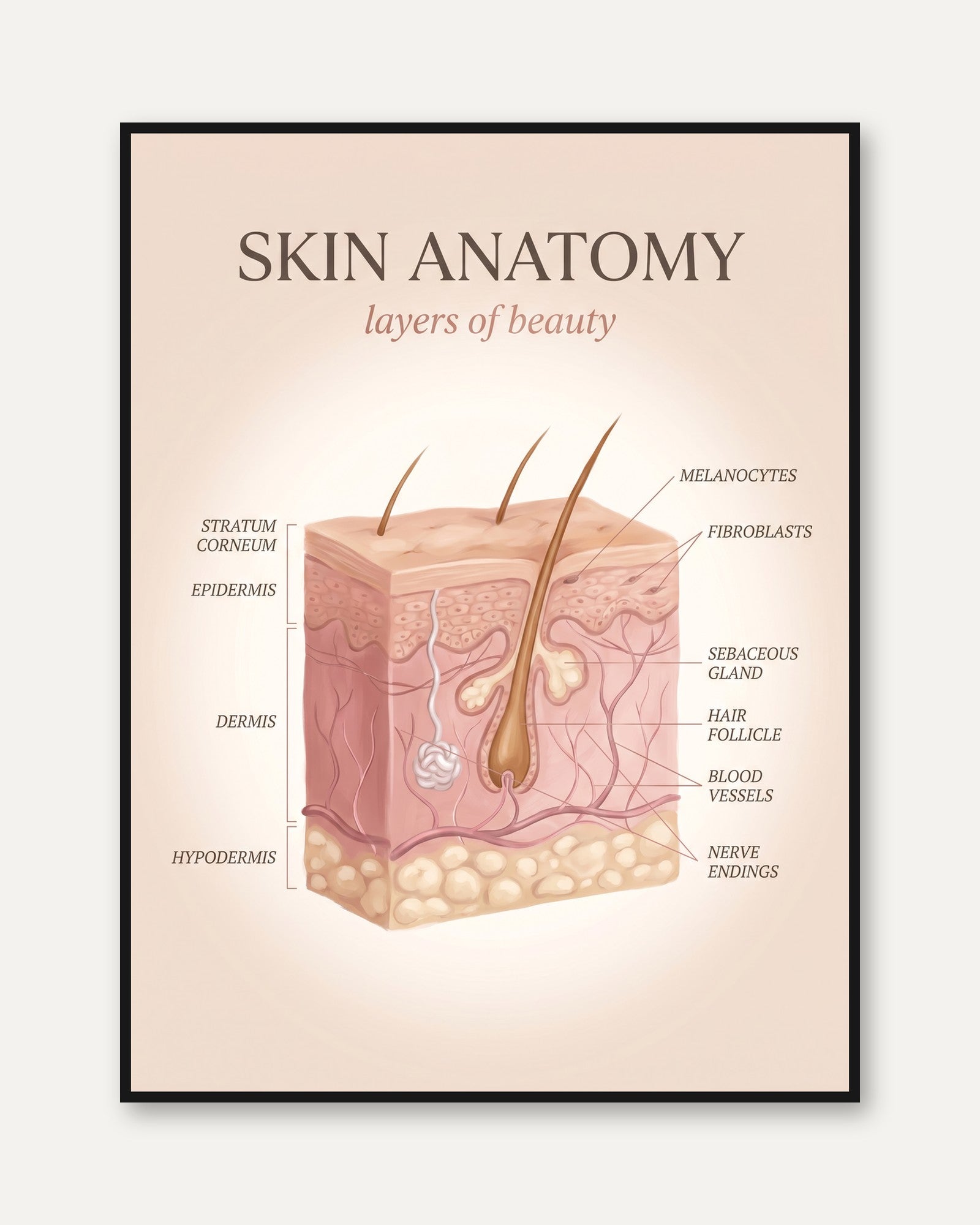 Skin Anatomy Print: Detailed Layers Illustration in Soft Pink - framed
