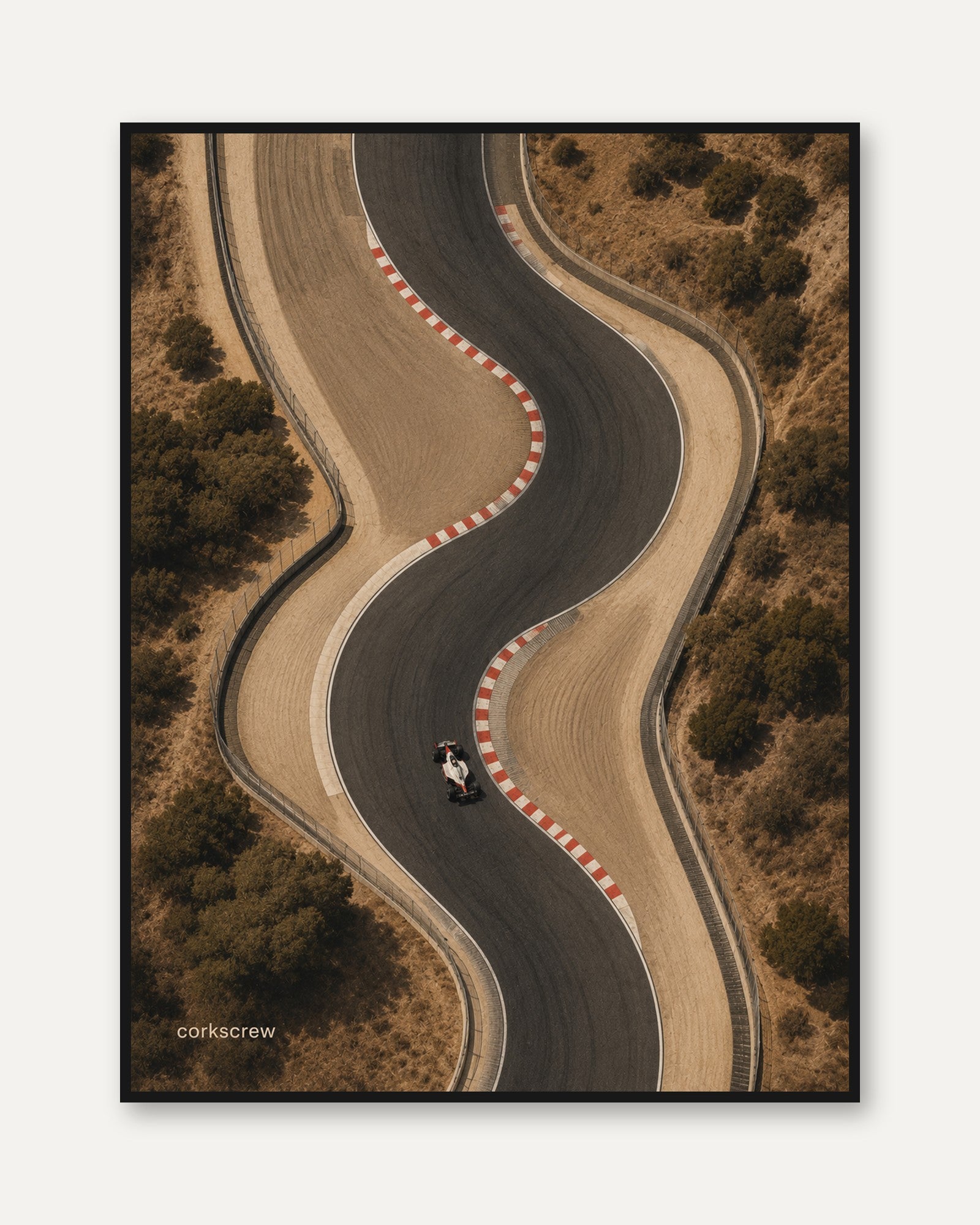 Race Track Wall Art – Aerial Racing Print - framed