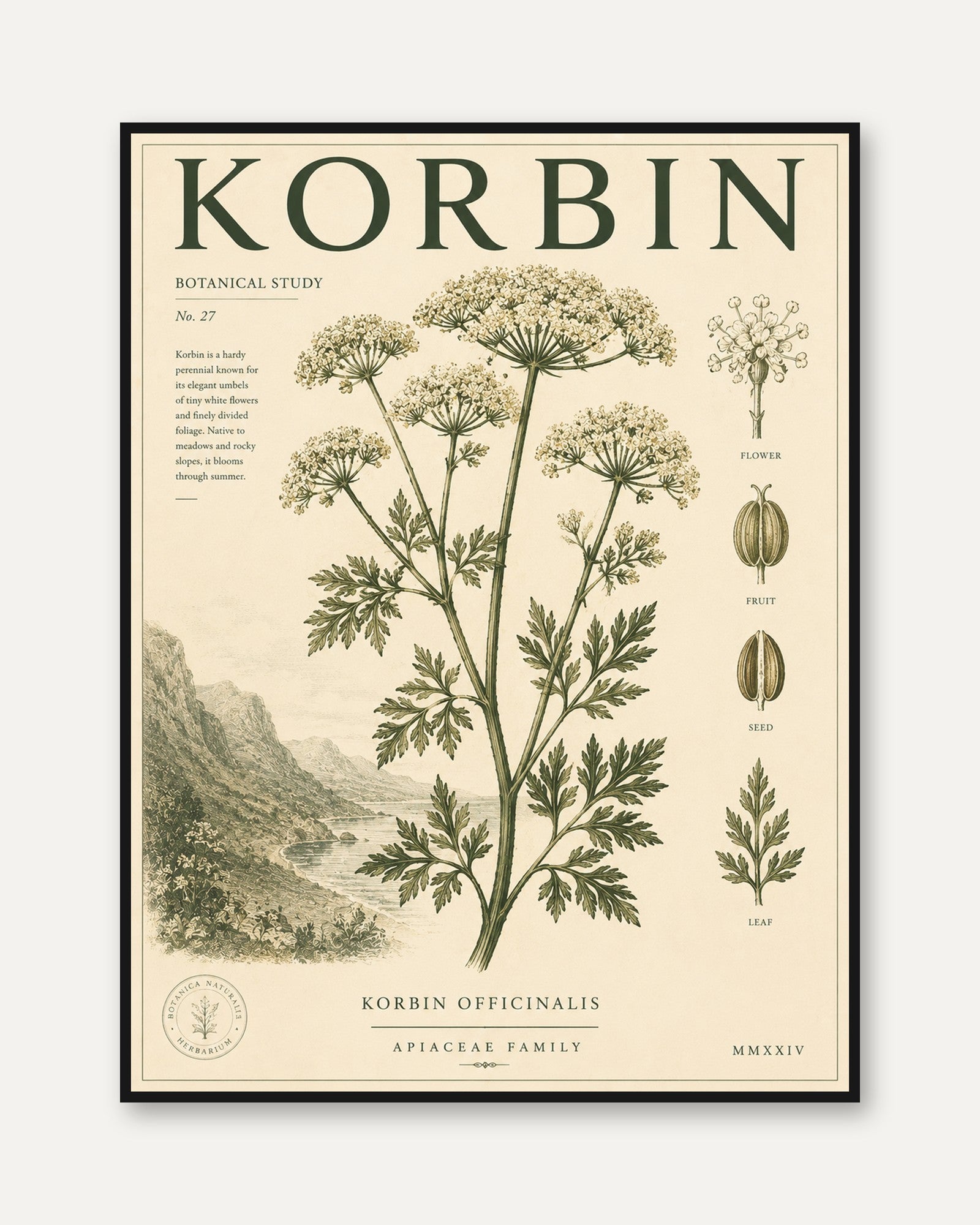 Botanical Illustration Print - framed
