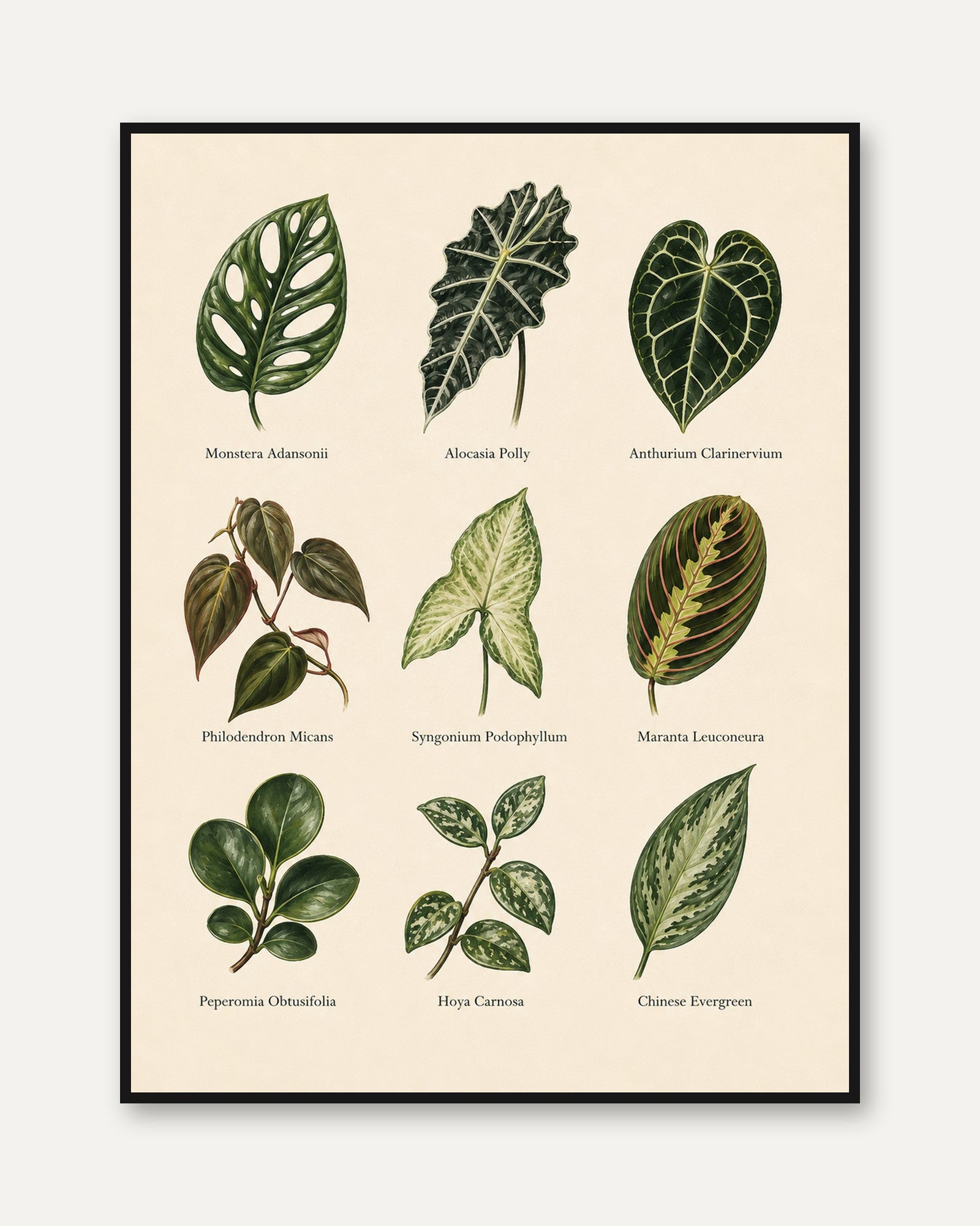 Botanical Leaf Collection Print: Vintage Tropical Foliage Art - framed